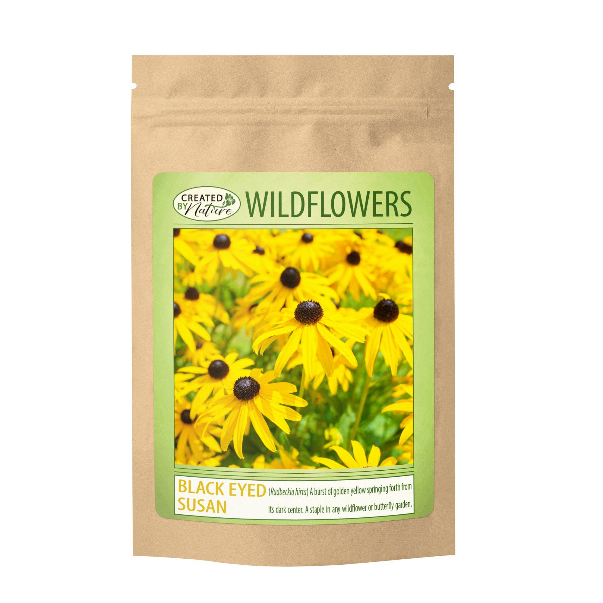 Black Eyed Susan Wildflower Seeds