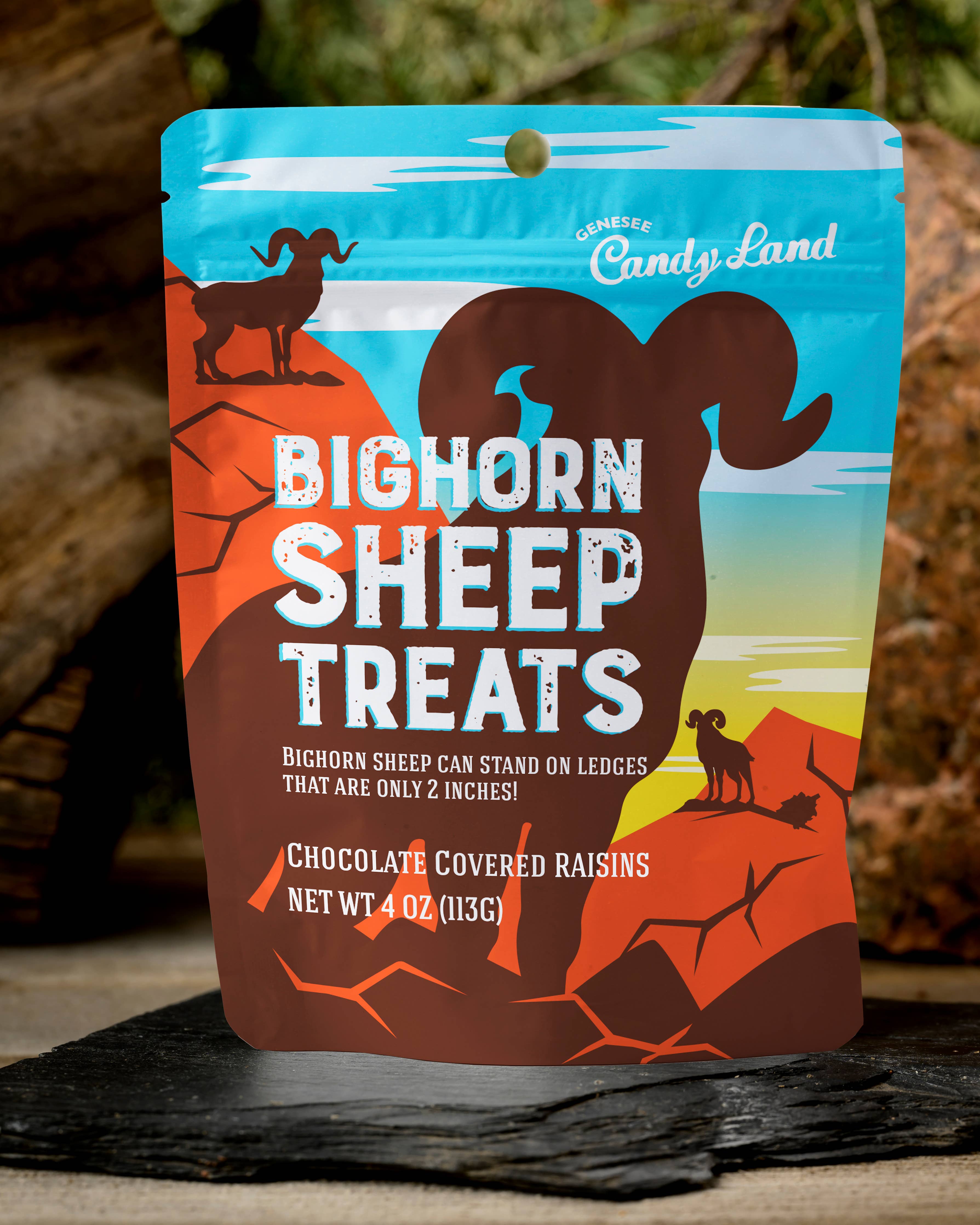 Bighorn Sheep Treats (chocolate covered raisins)