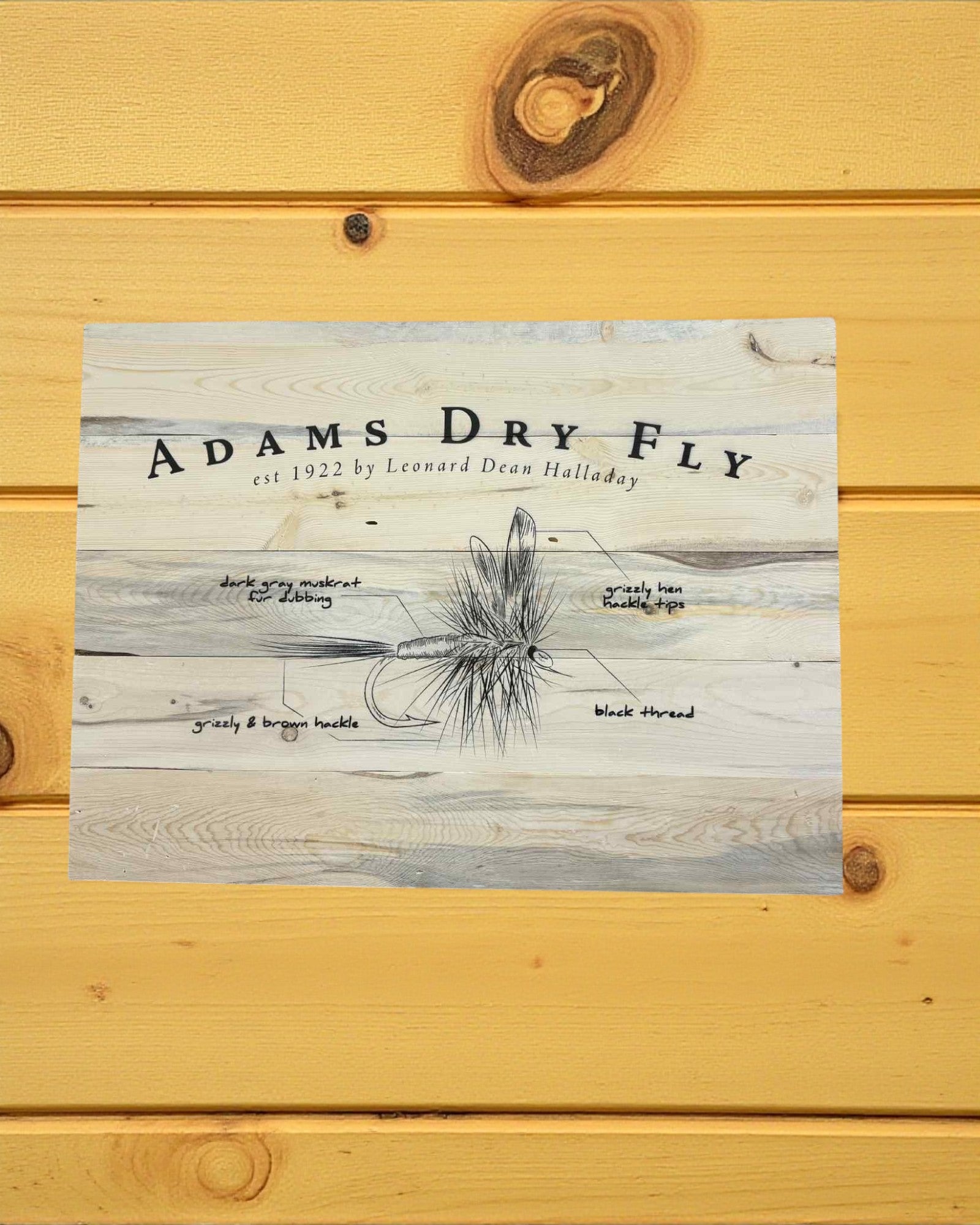 Adams Fly Wall Decor