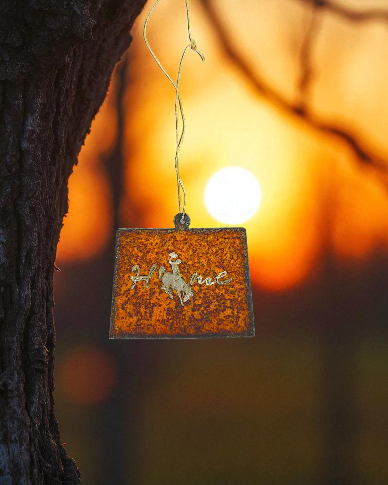 Wy homing Steel Ornament
