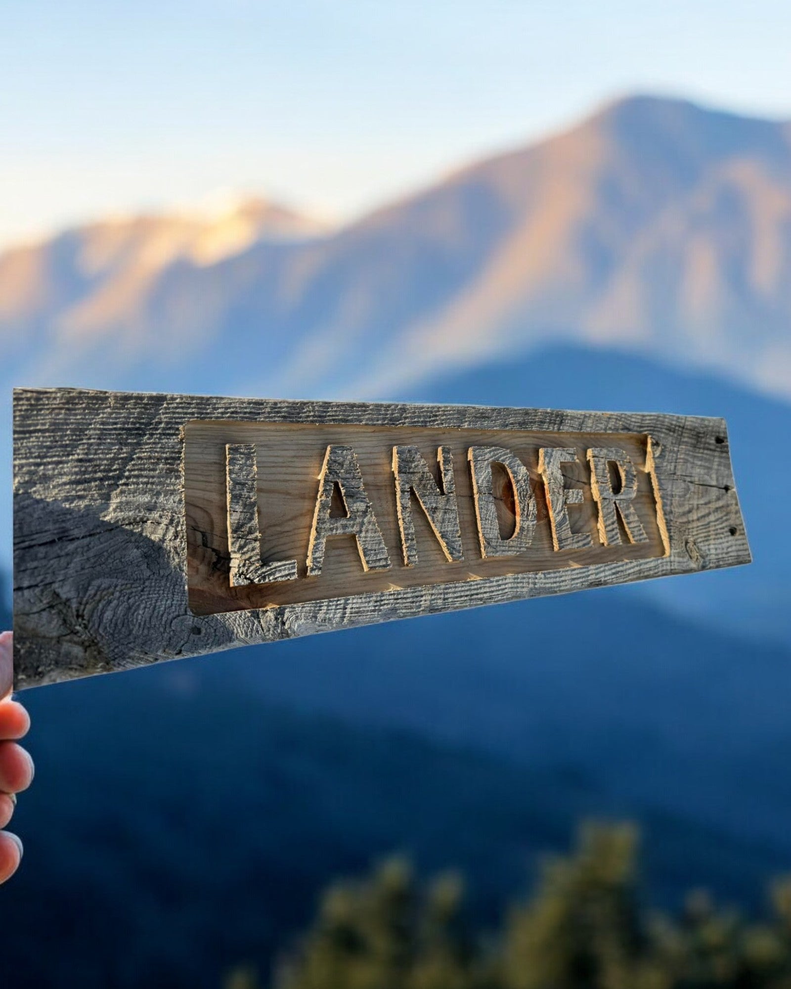 Custom Rustic Barnwood Sign
