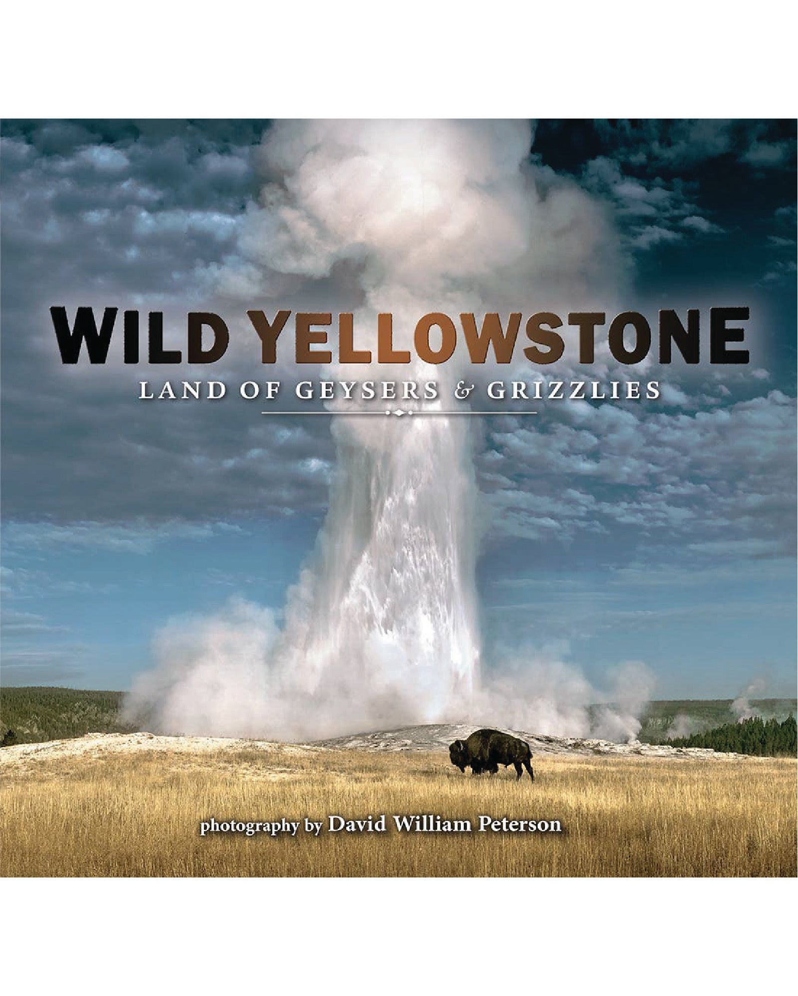 Wild Yellowstone: Land of Geysers & Grizzlies