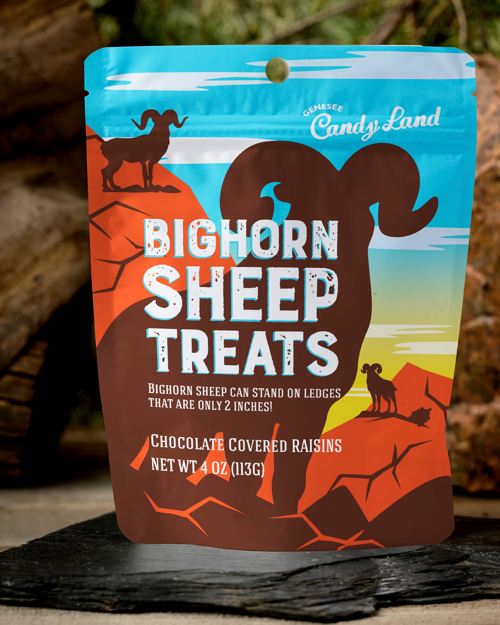 Bighorn Sheep Treats (chocolate covered raisins)