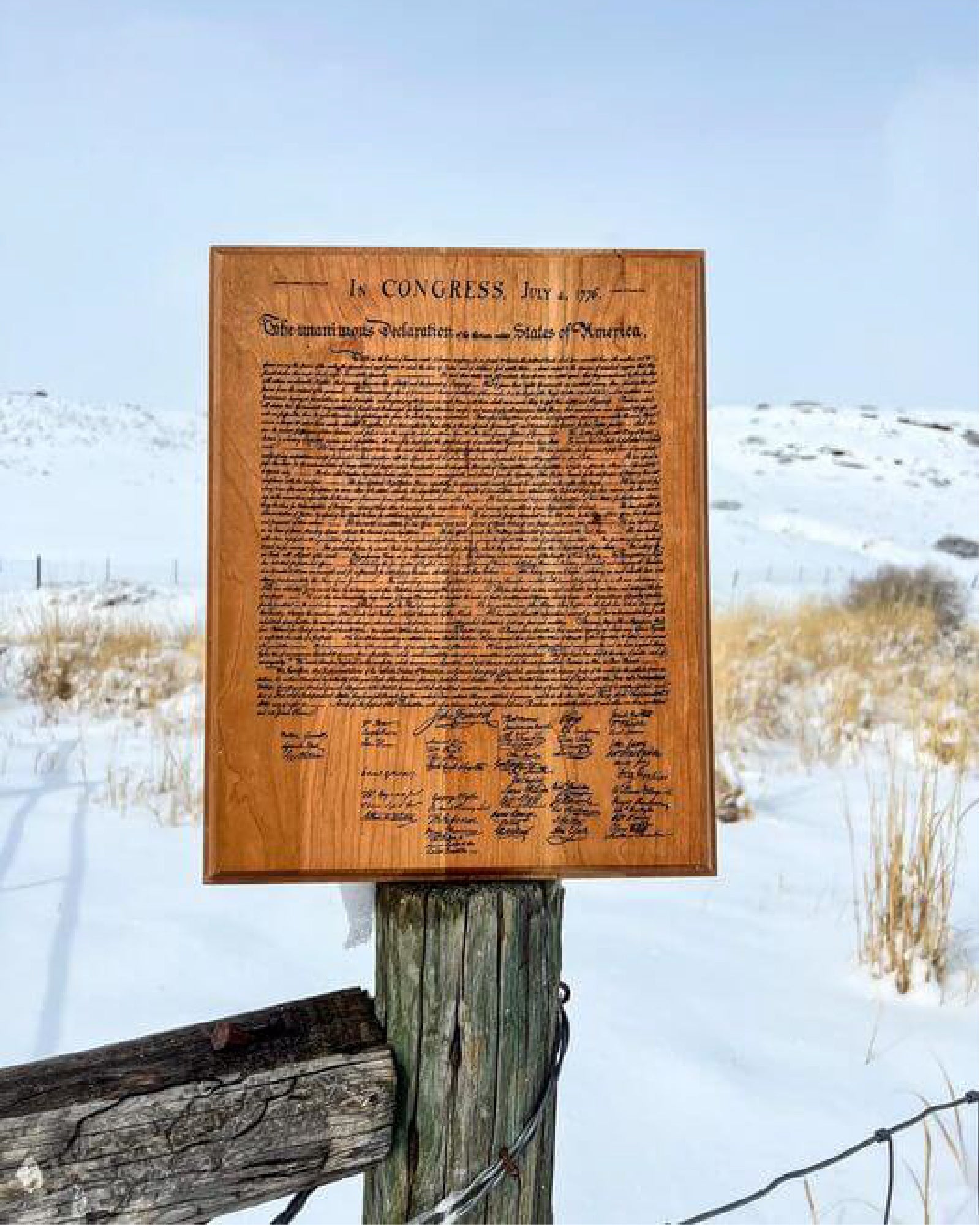 Declaration of Independence Cherry Wall Hanging