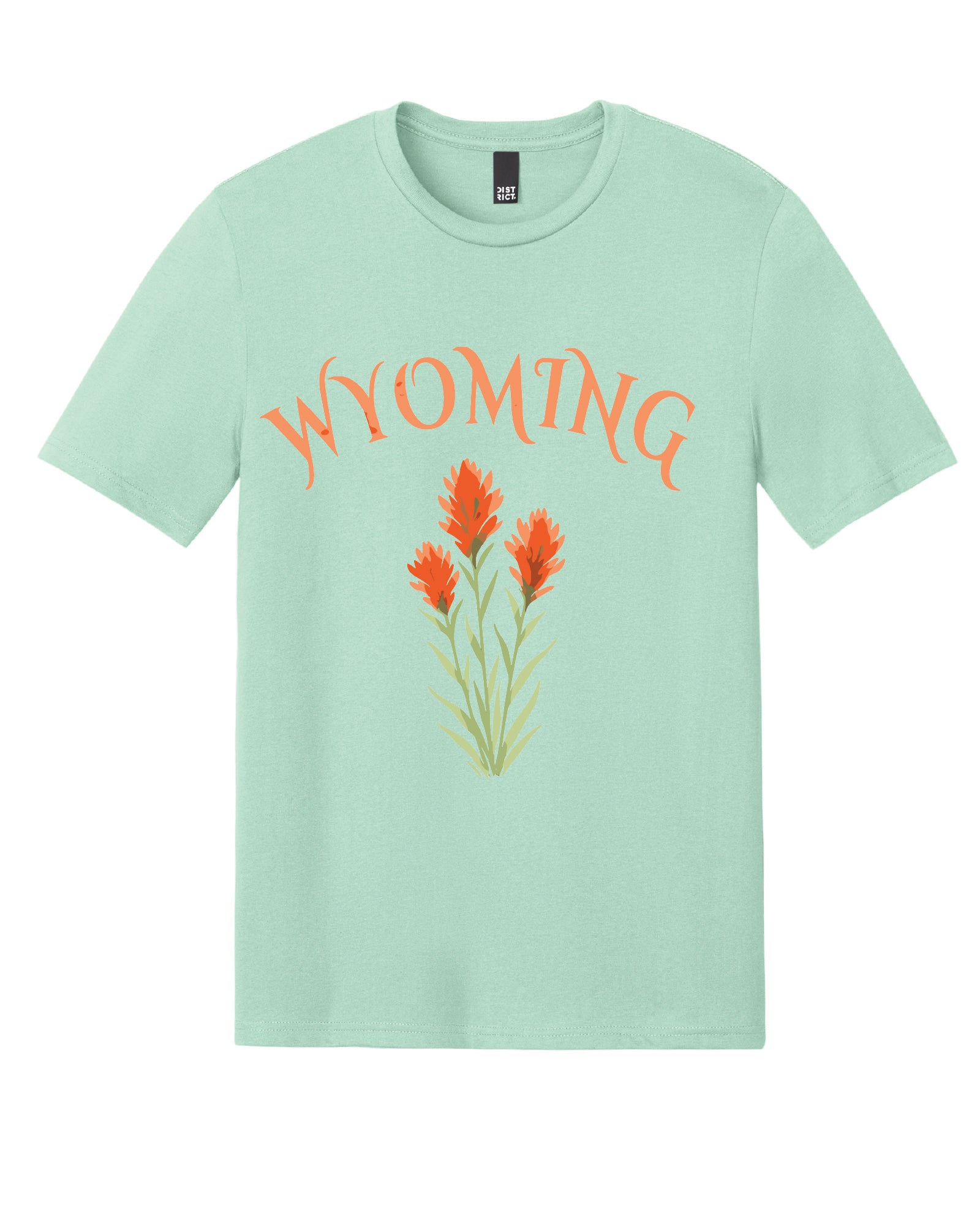 Wyoming Indian Paintbrush