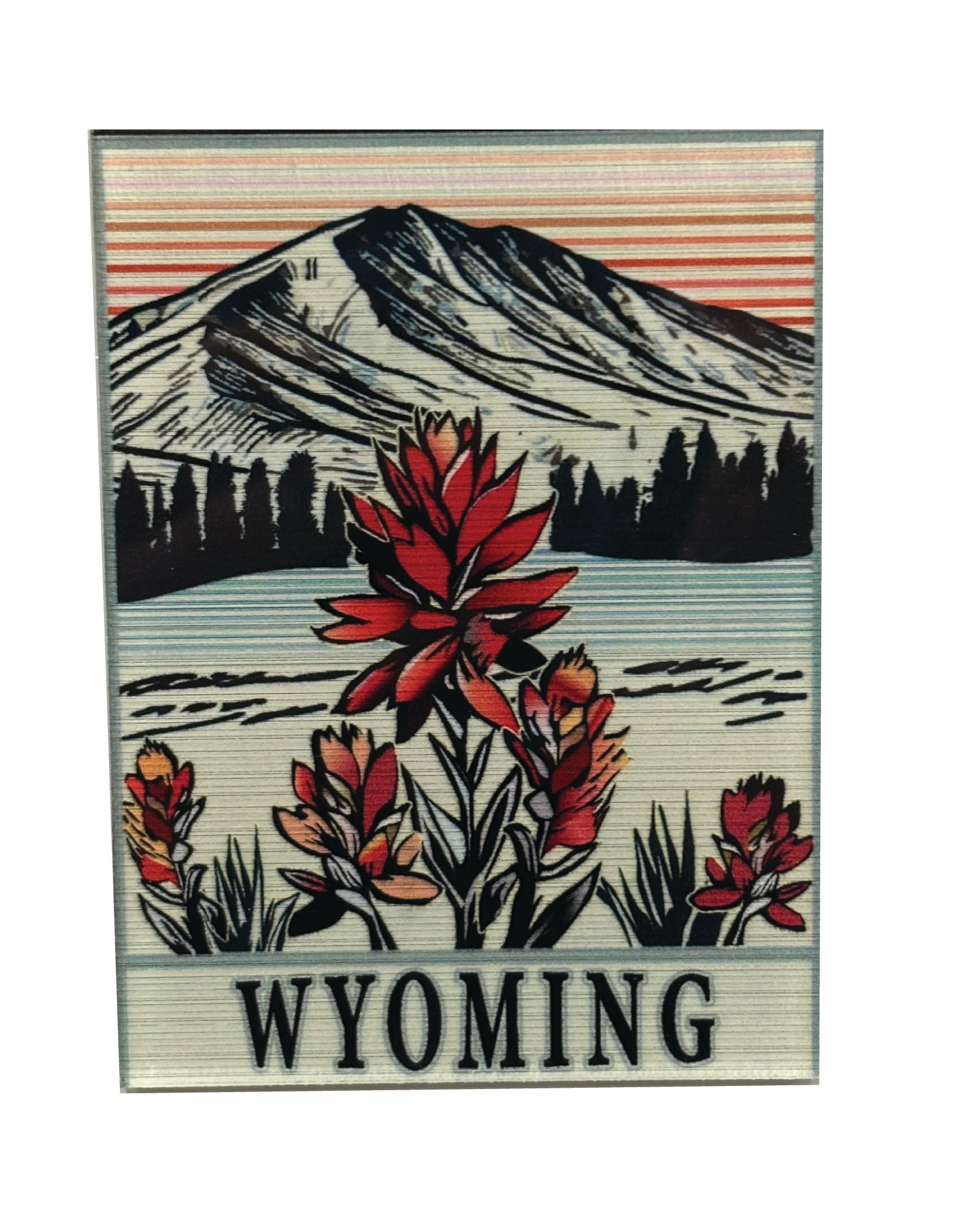 Wyoming Indian Paintbrush Acrylic Magnet