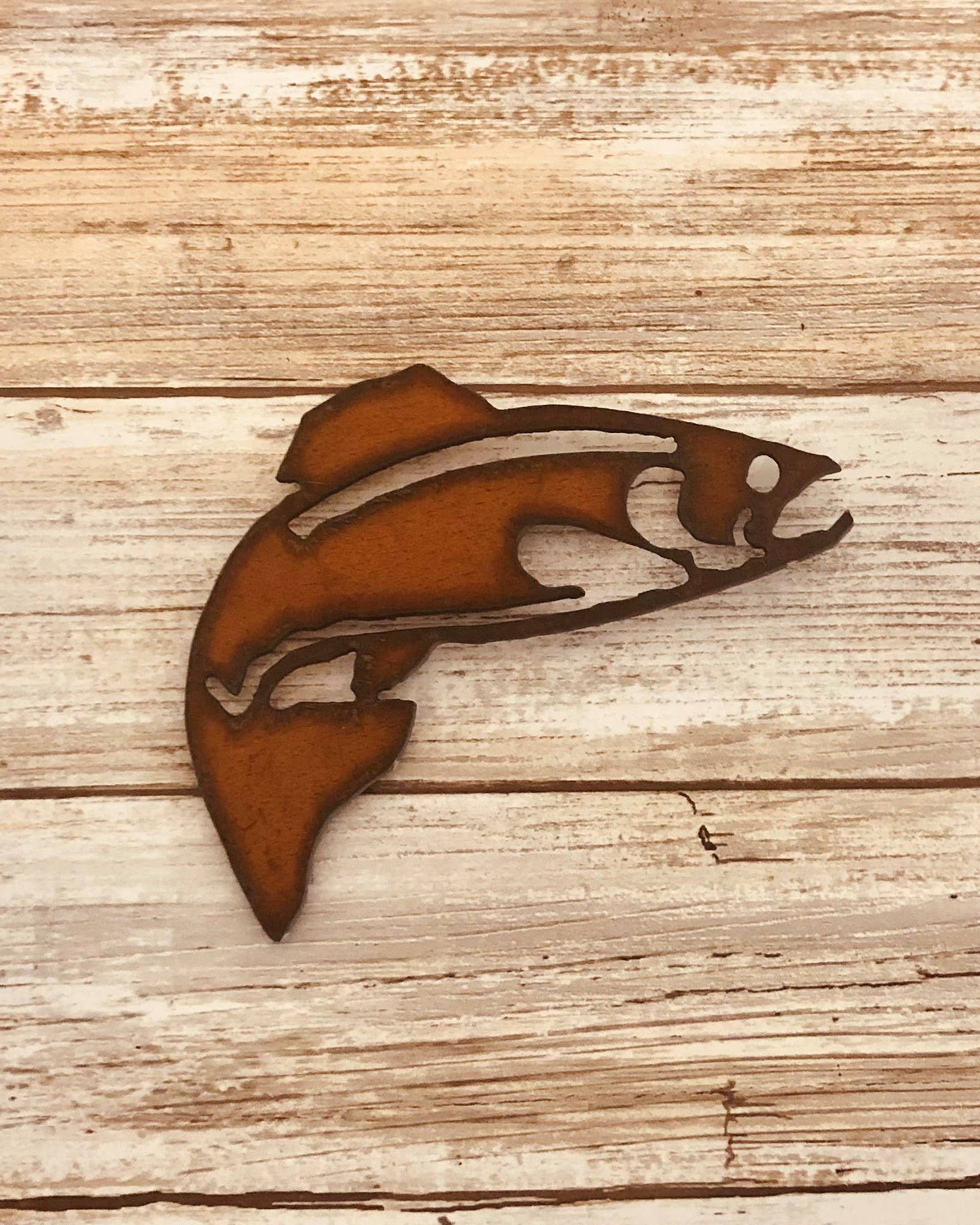 Trout Fish Magnet
