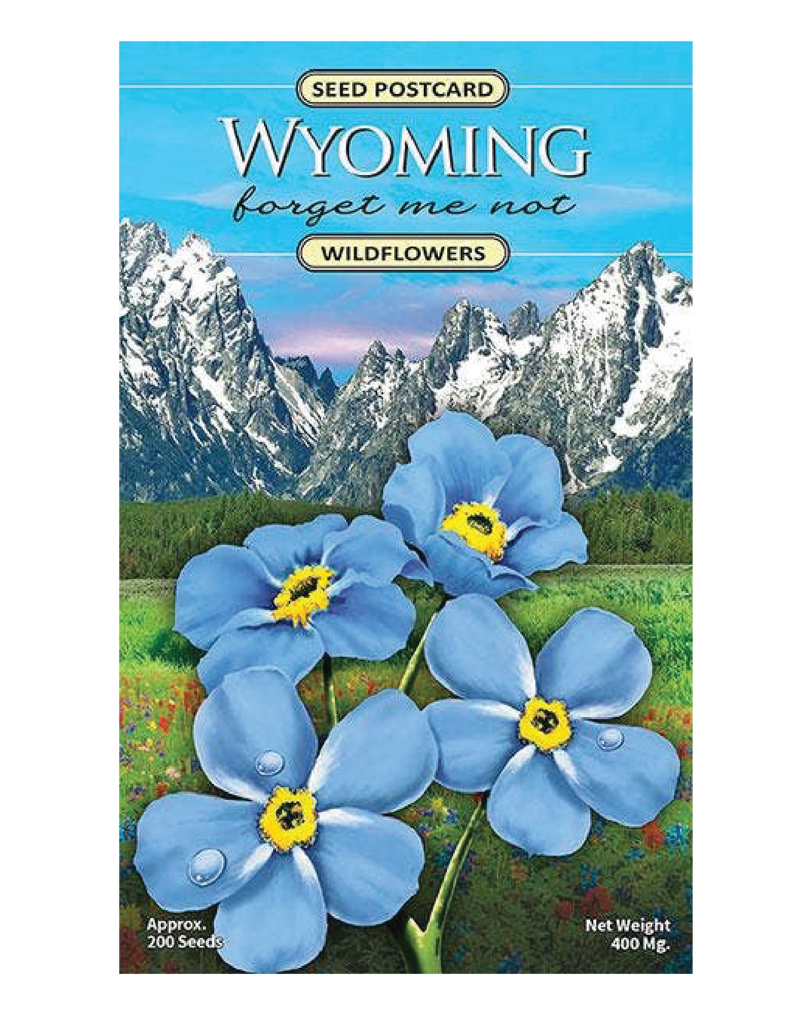 Wyoming Forget-Me-Not Wildflower Seed Packet
