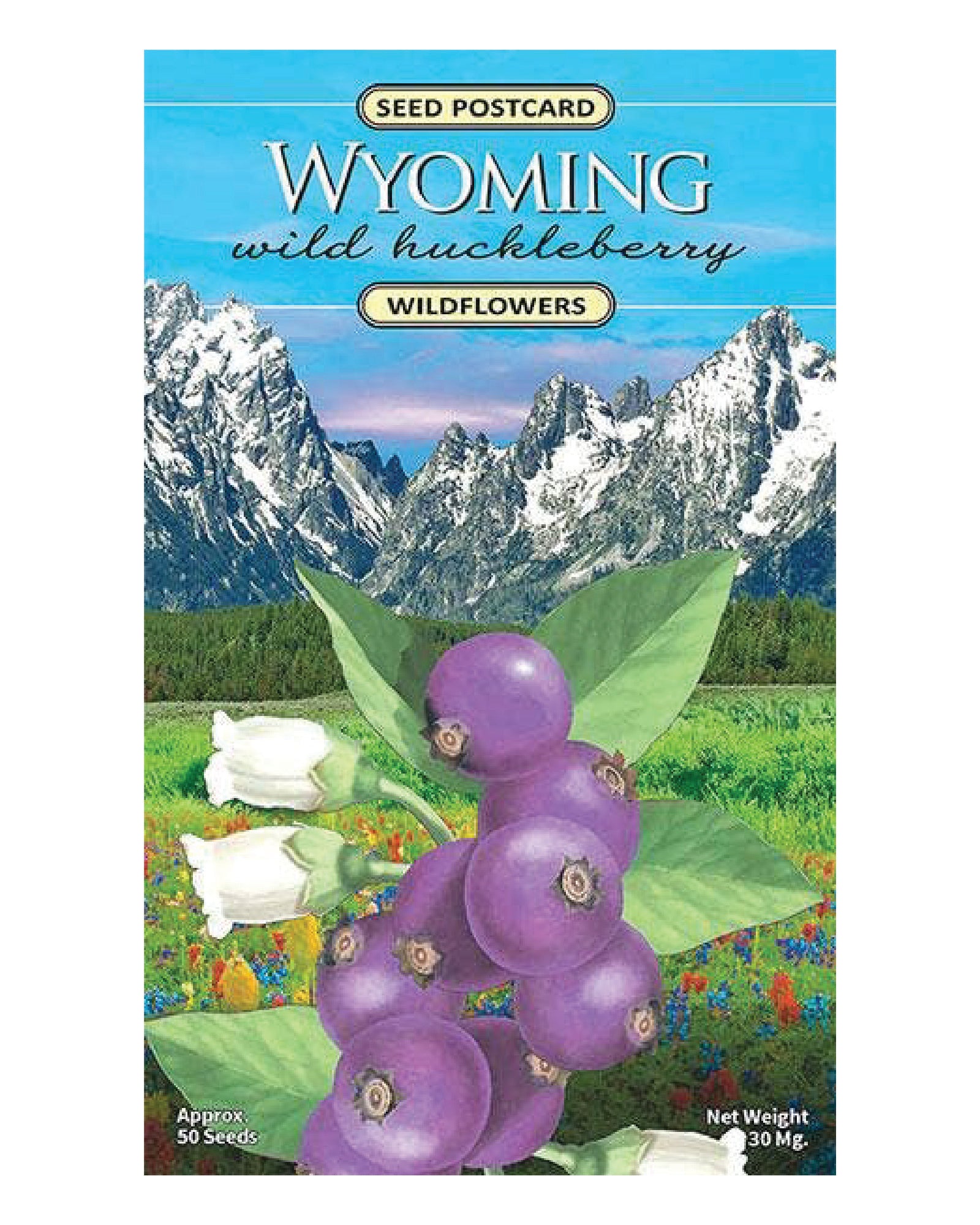 Wyoming Wild Huckleberry Wildflower Seed Packet