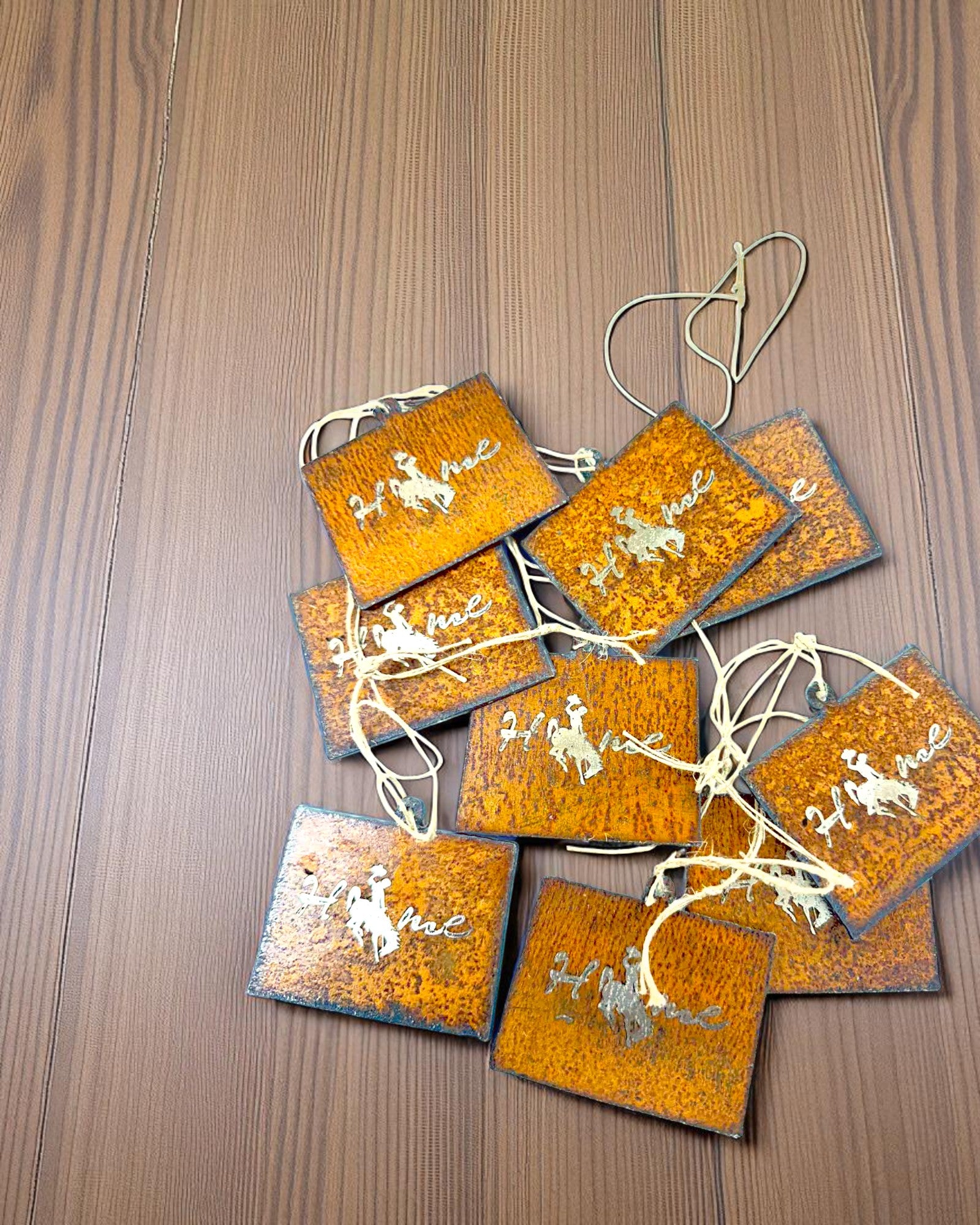 Wy homing Steel Ornament