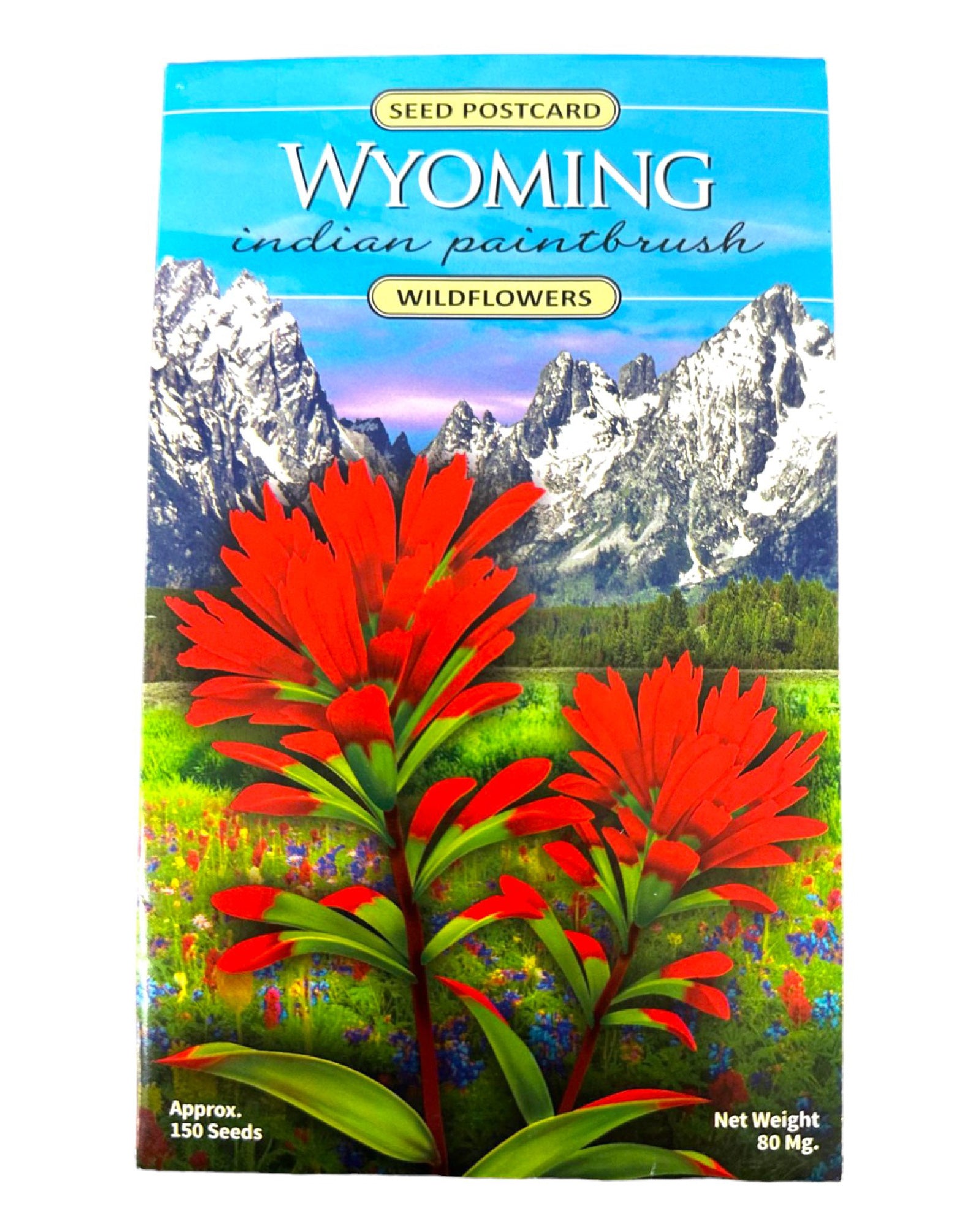 Wyoming Indian Paintbrush Seeds