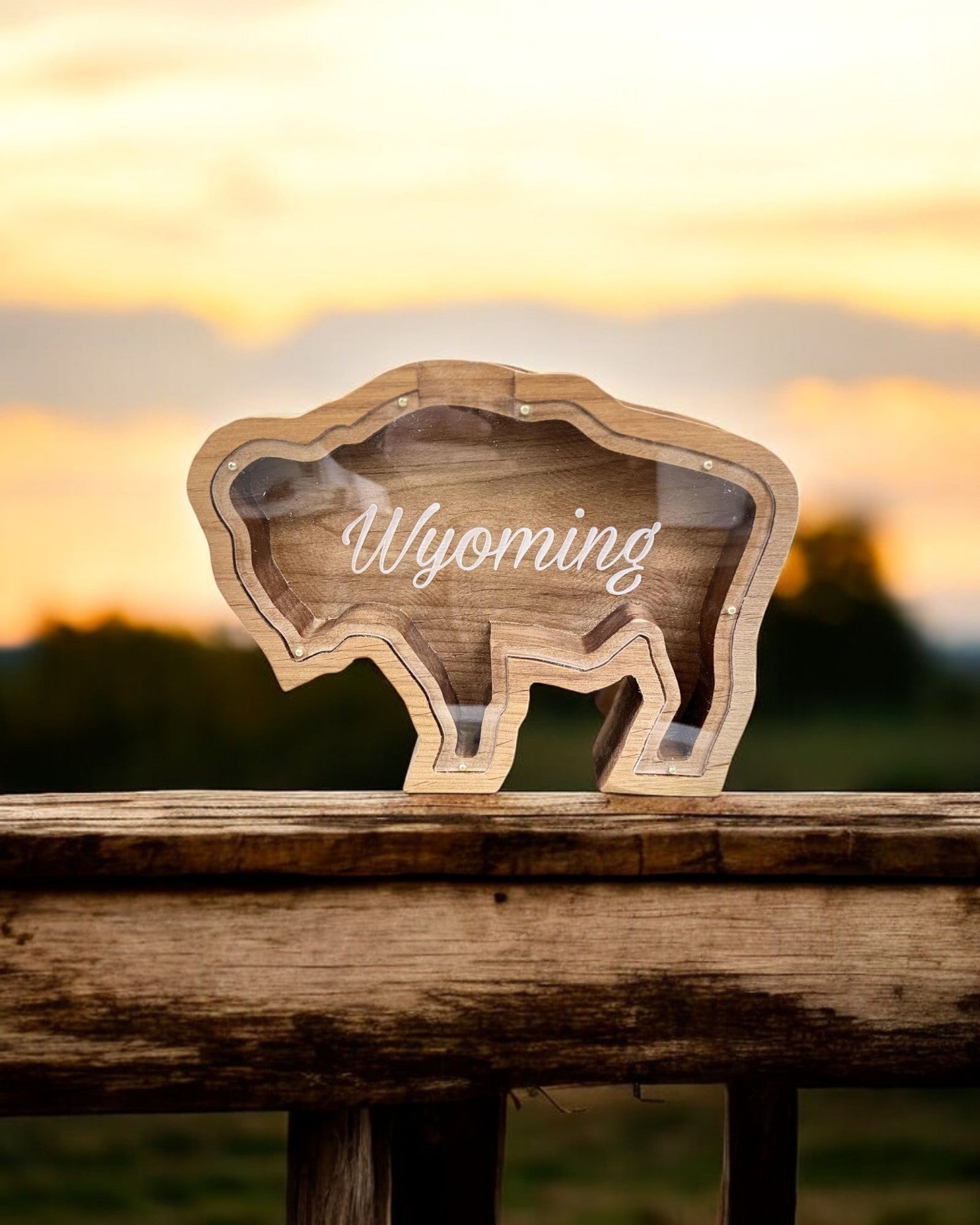 Wyoming Buffalo Bank