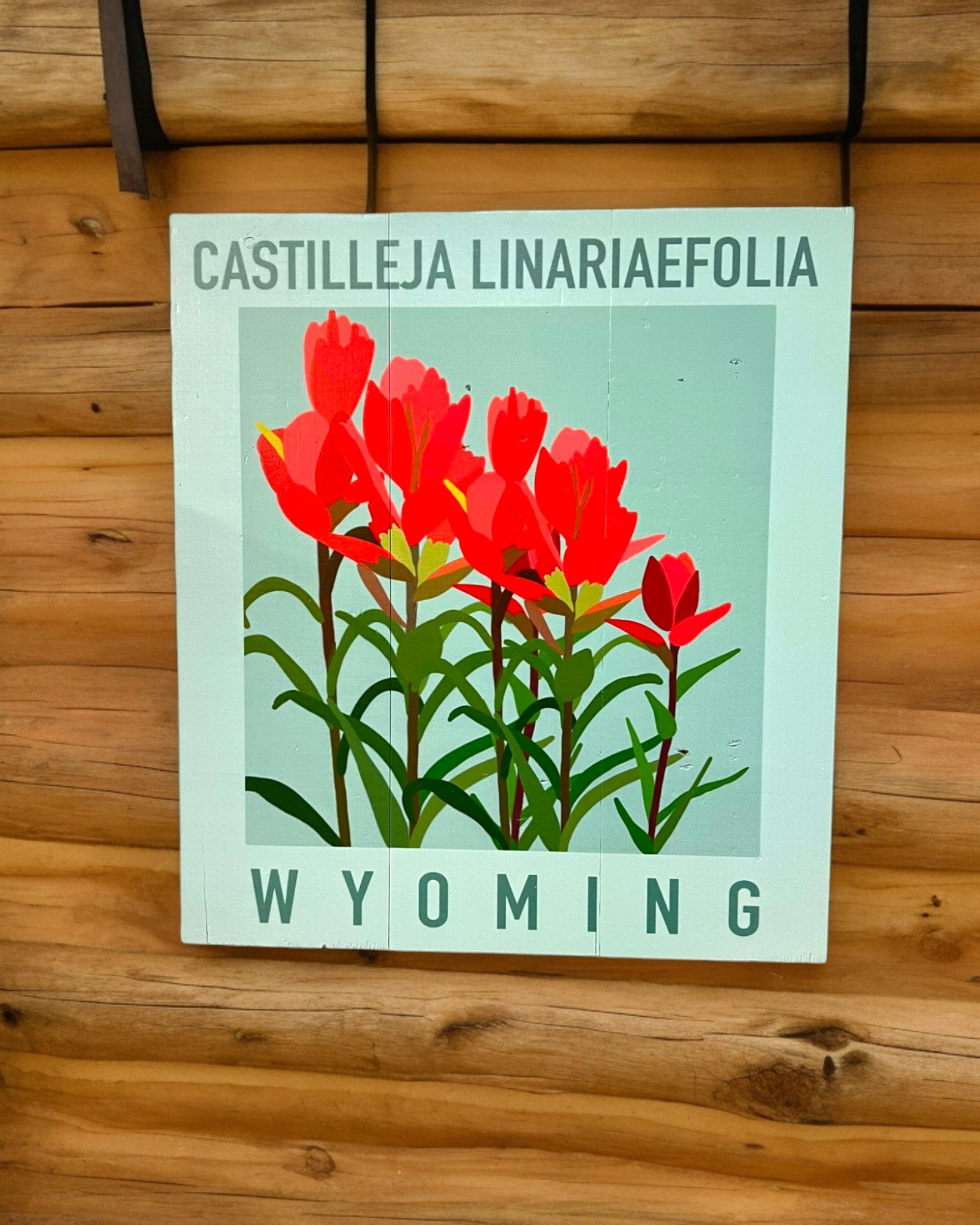 Wyoming Indian Paintbrush Wall Hanging