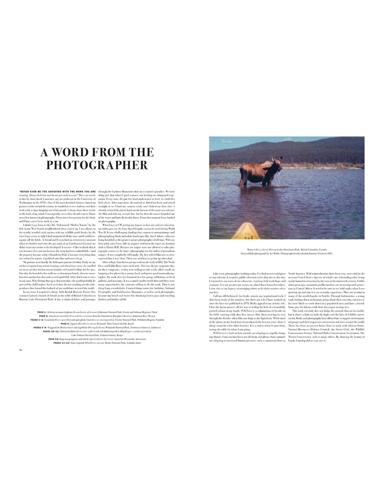 Wild Lives (Coffee Table Gift Book / Art Wolfe photography)