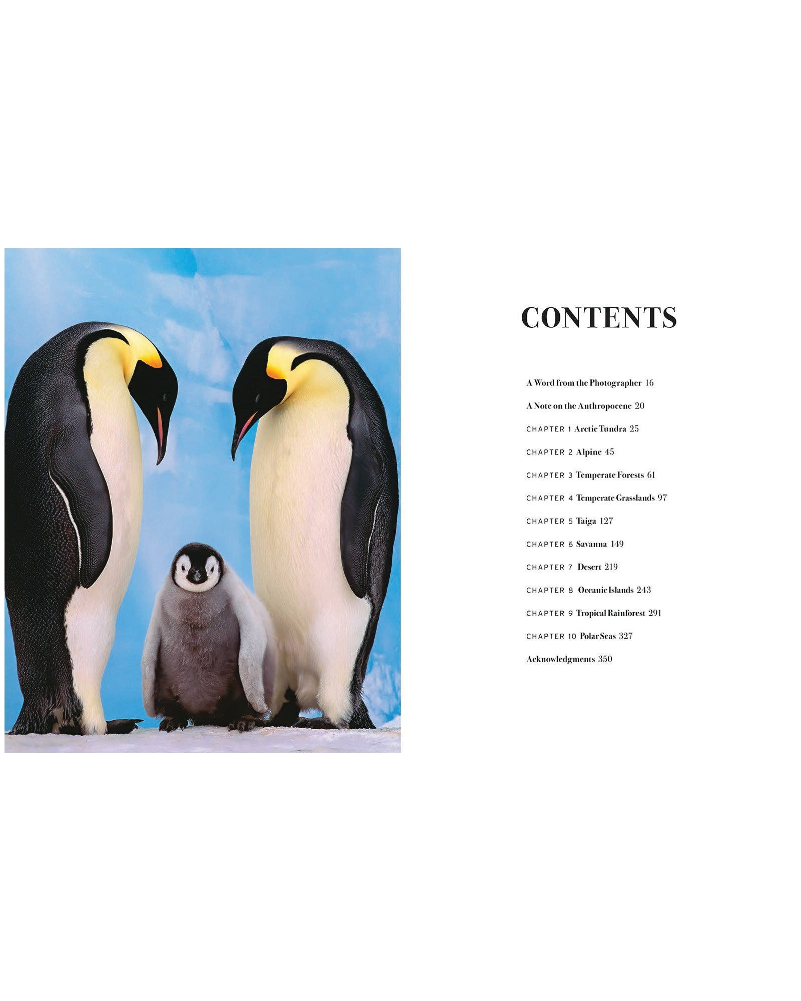 Wild Lives (Coffee Table Gift Book / Art Wolfe photography)