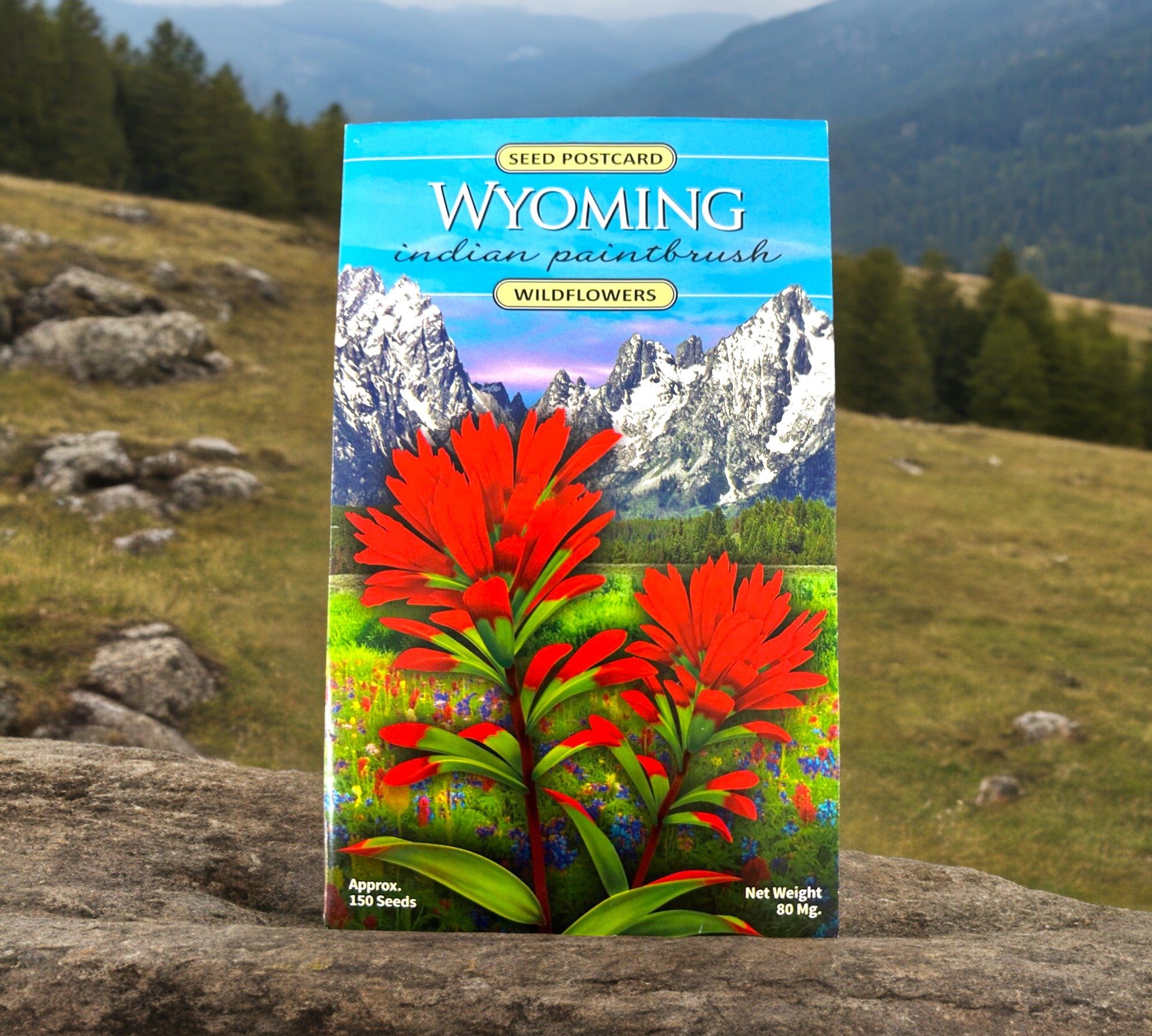 Wyoming Indian Paintbrush Seeds