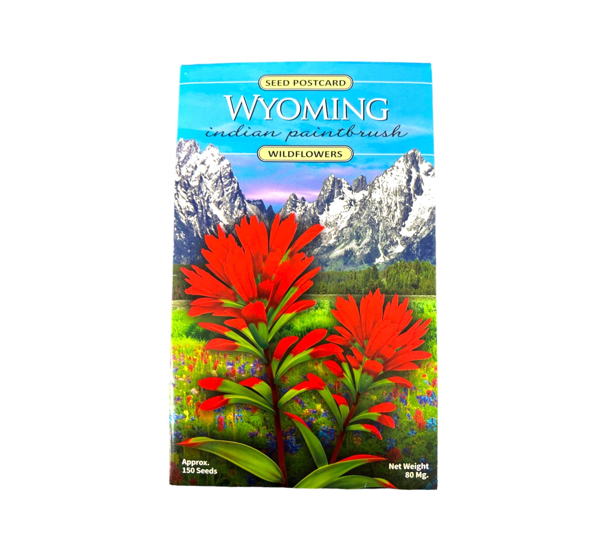 Wyoming Indian Paintbrush Seeds