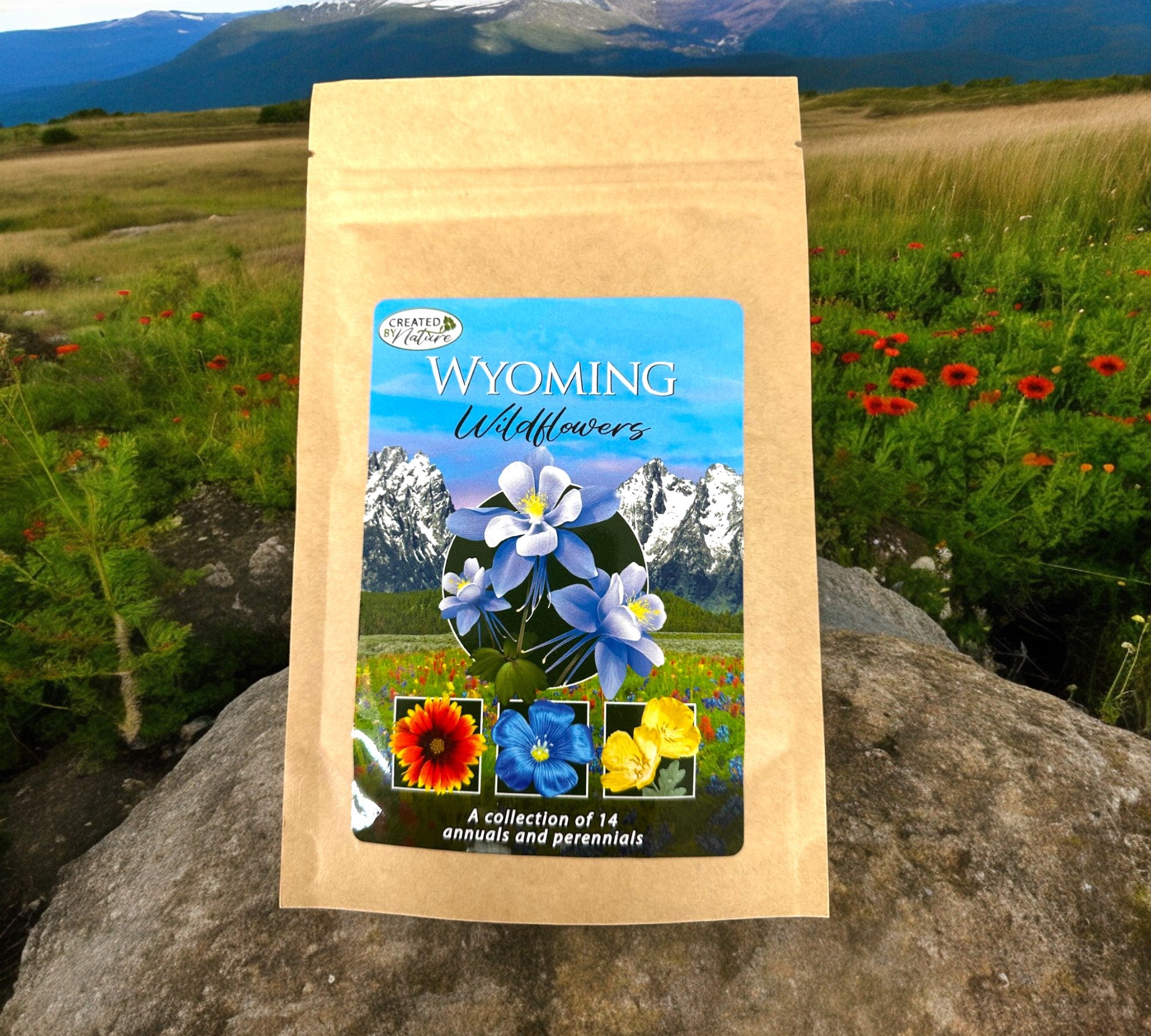 Wyoming Wildflower Seeds