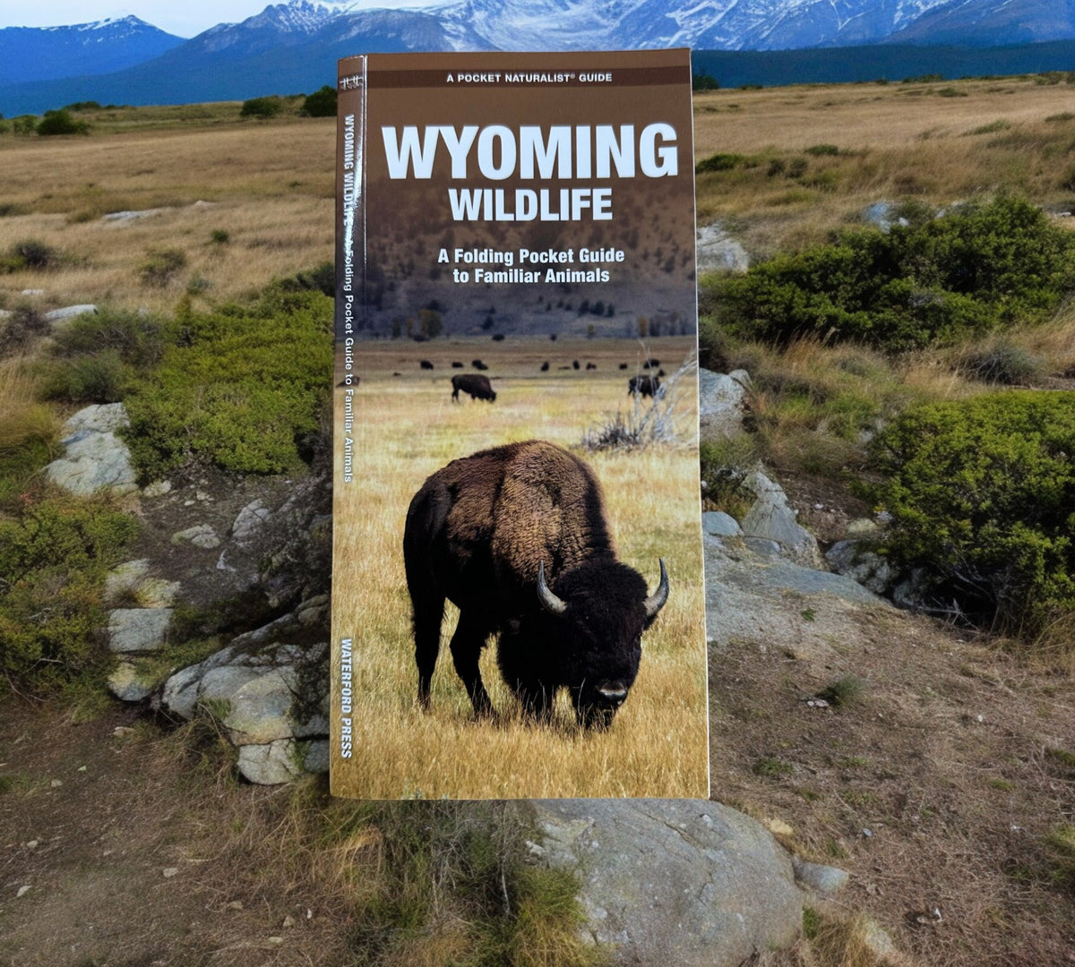 Wyoming Wildlife Pocket Guide