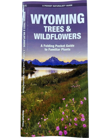 Wyoming Trees and Wildflowers