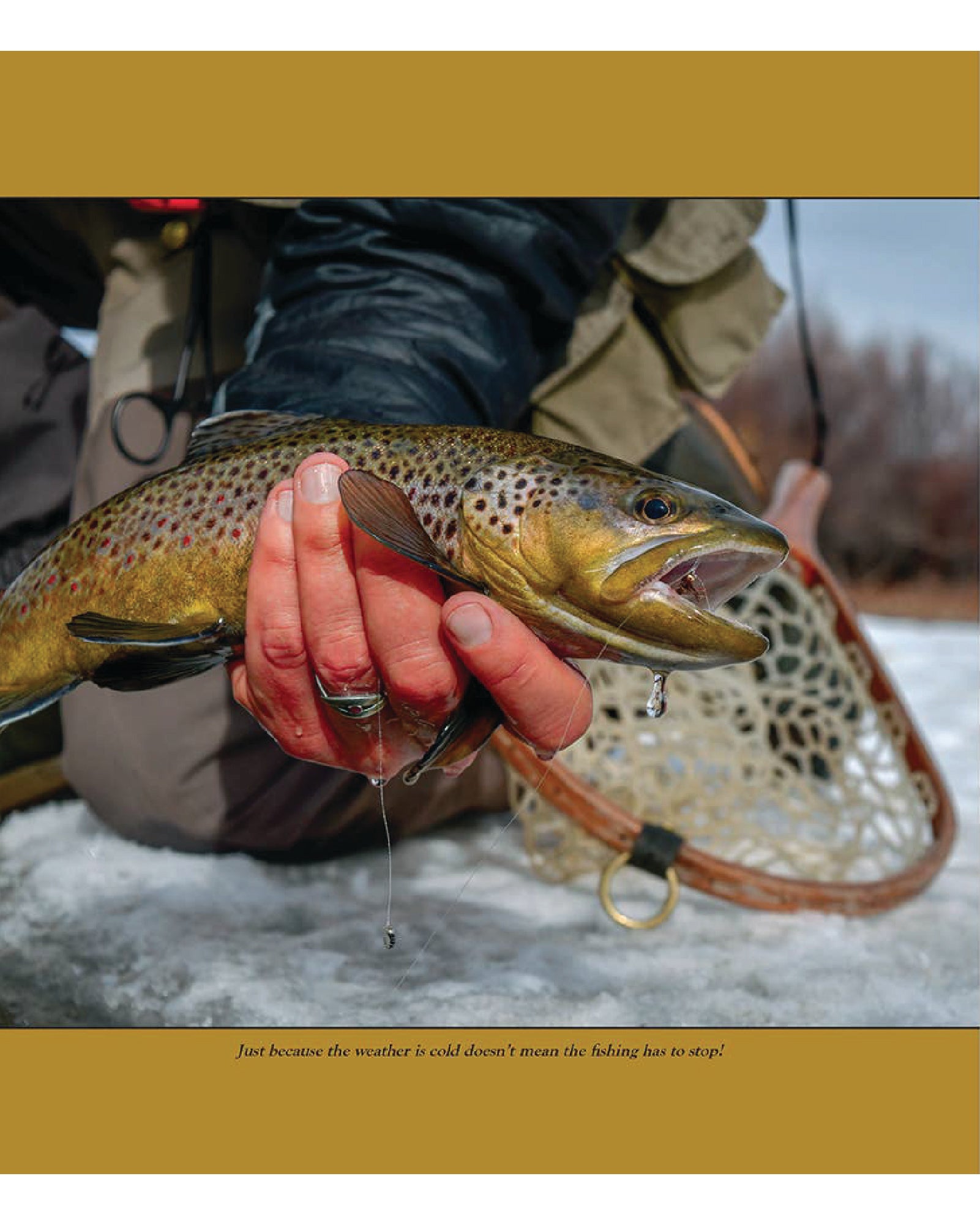 Most Trout Don't Read: Lessons from Time on the Water