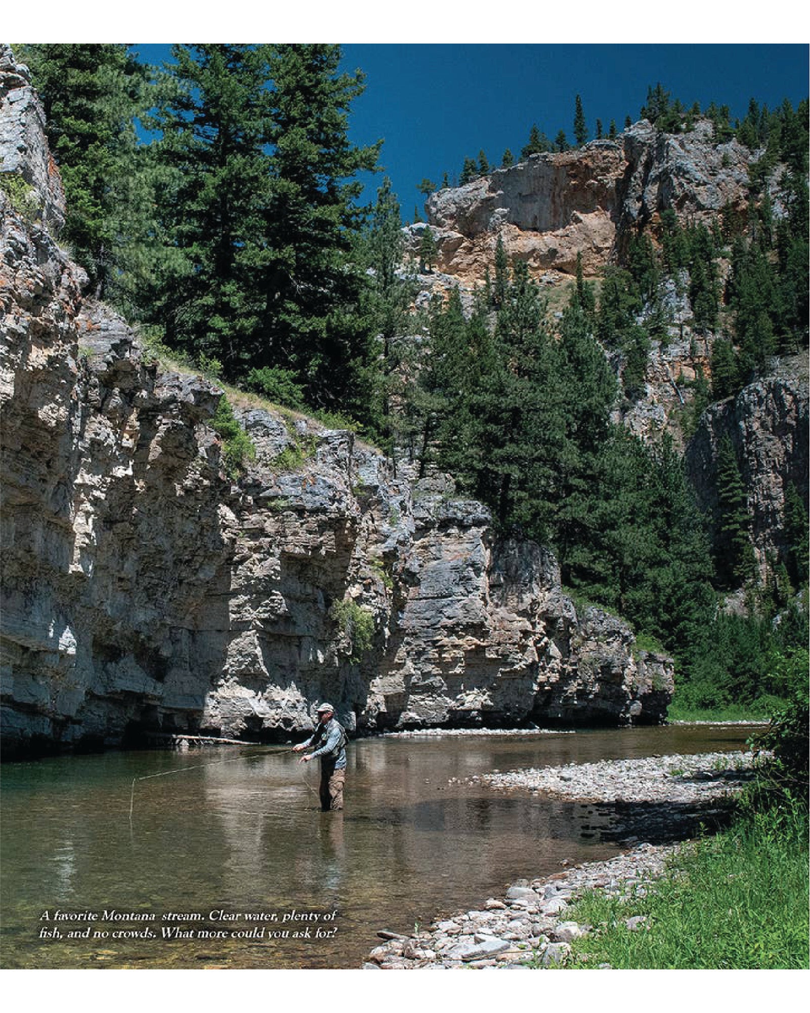 Most Trout Don't Read: Lessons from Time on the Water