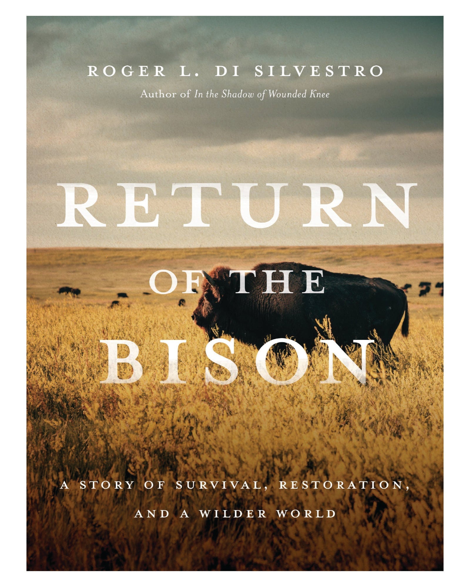 Return of the Bison