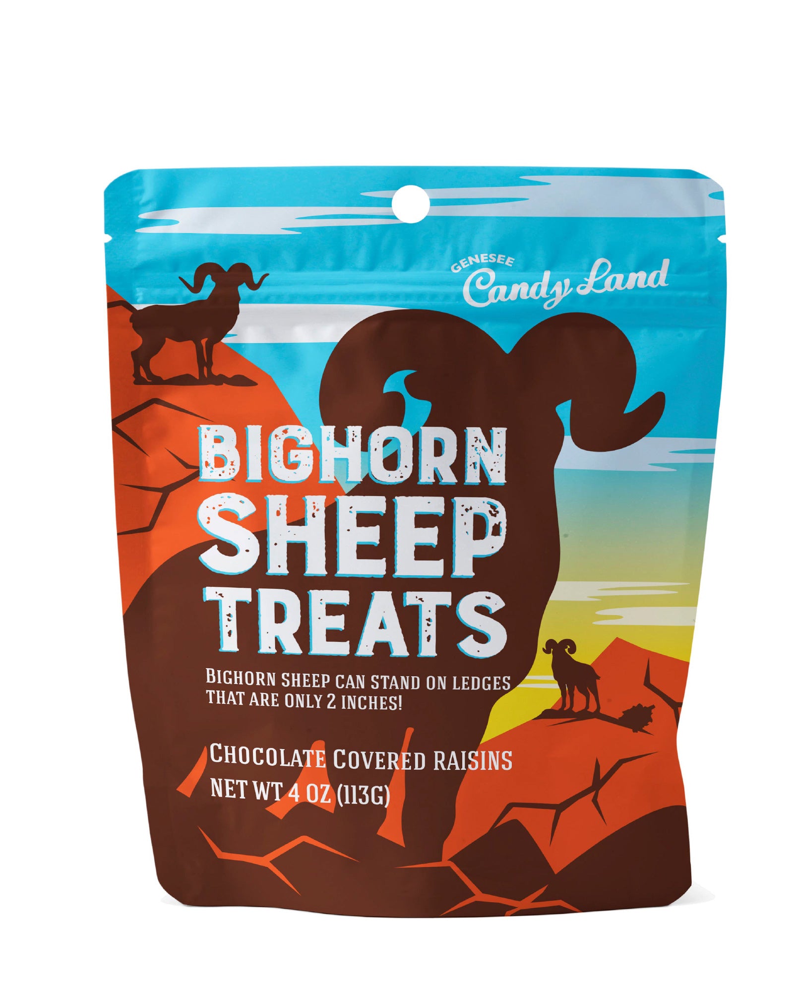 Bighorn Sheep Treats (chocolate covered raisins)