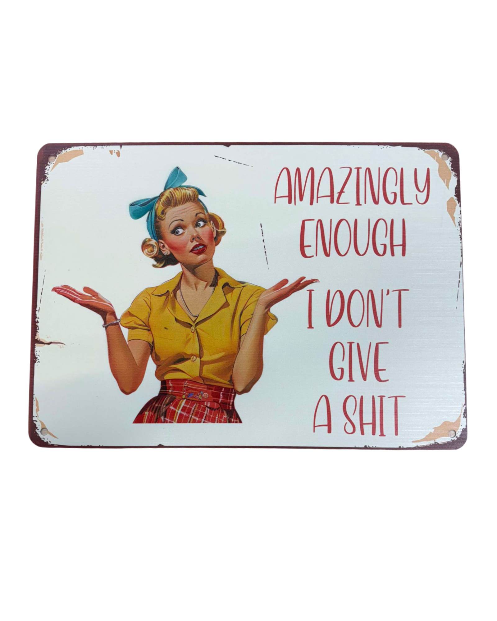 I Don't Give a Sh#! Sign