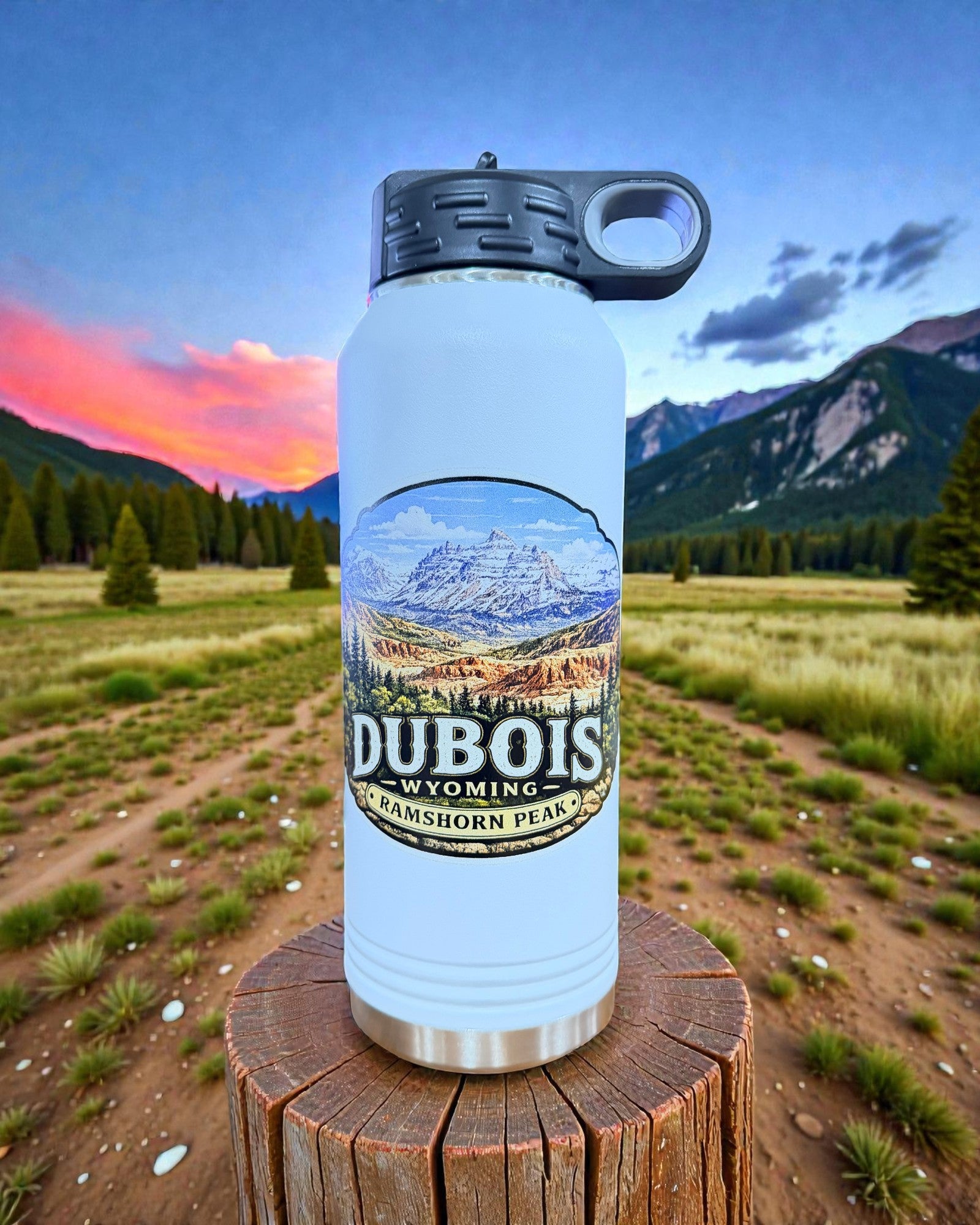 Dubois Wyoming Water Bottle