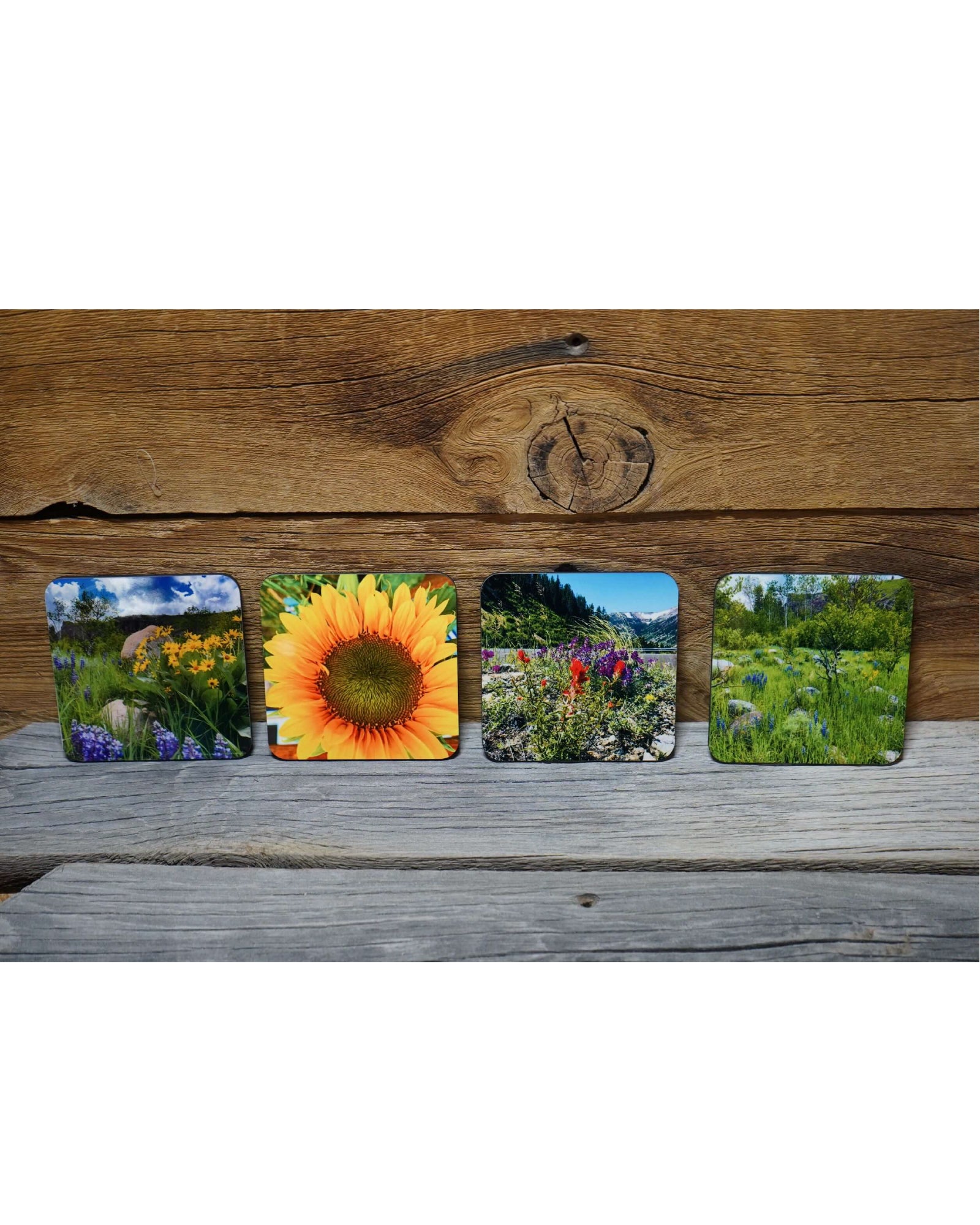 Wildflower Coasters- Set of 4