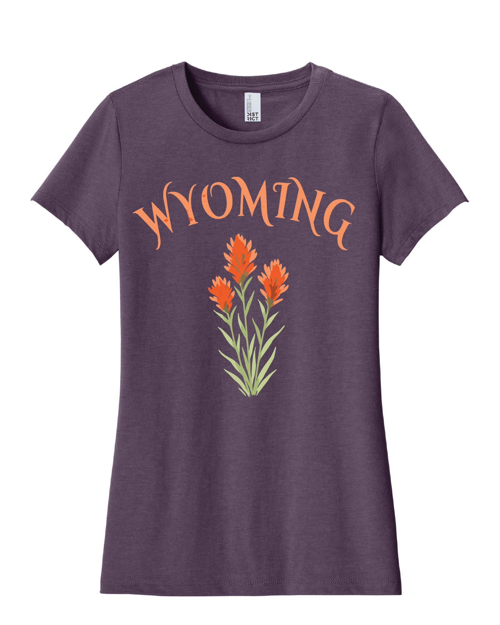 Wyoming Indian Paintbrush