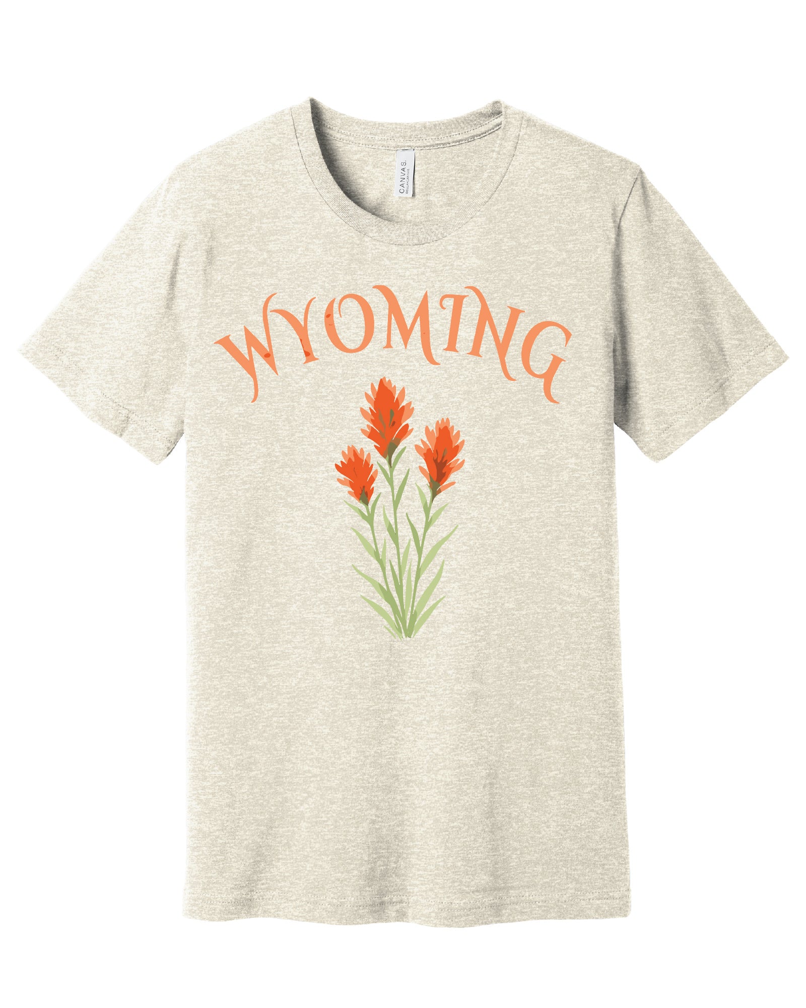 Wyoming Indian Paintbrush