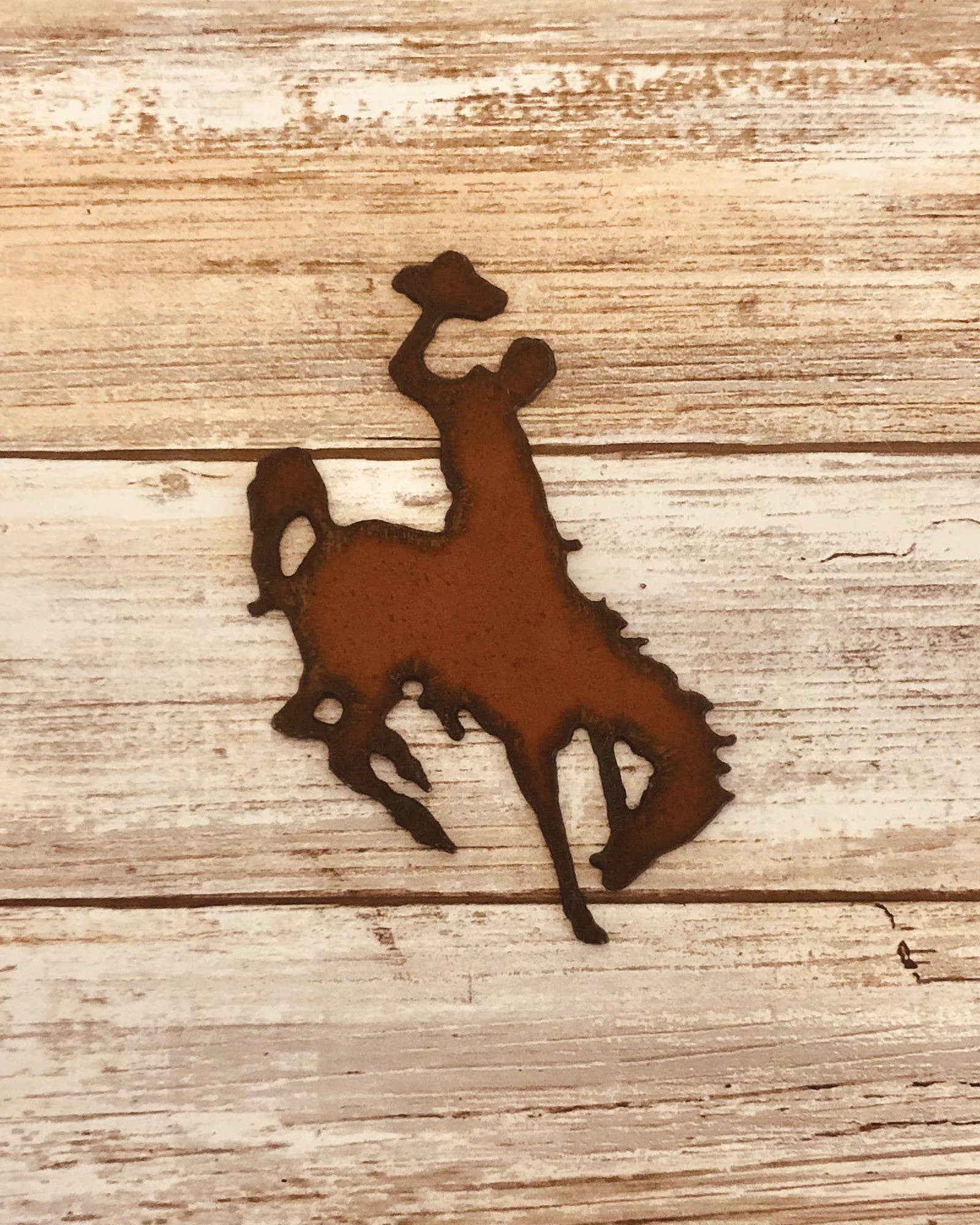 Bronc Rider Wyoming  with Hat Magnet