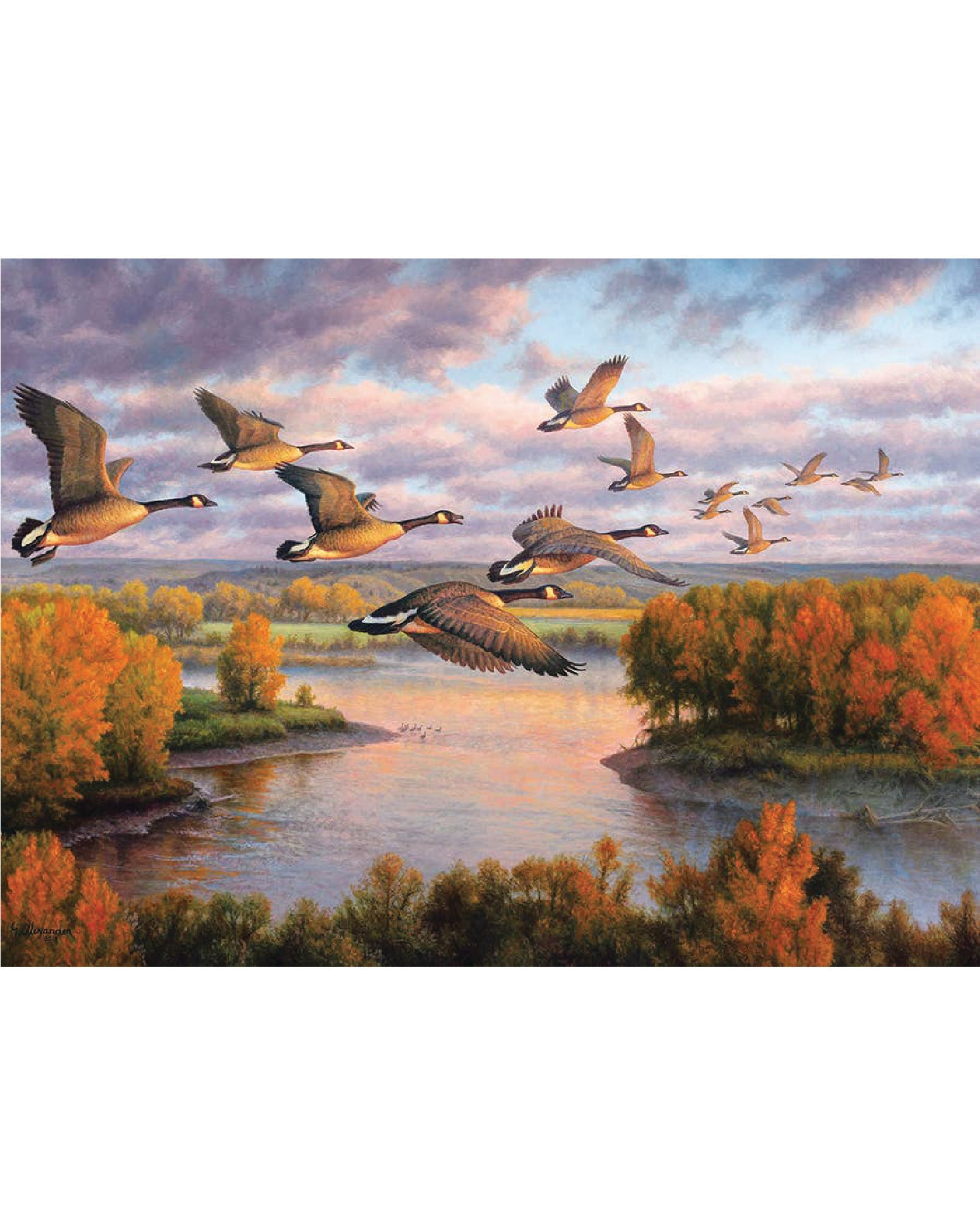 Migration 1000pc Puzzle