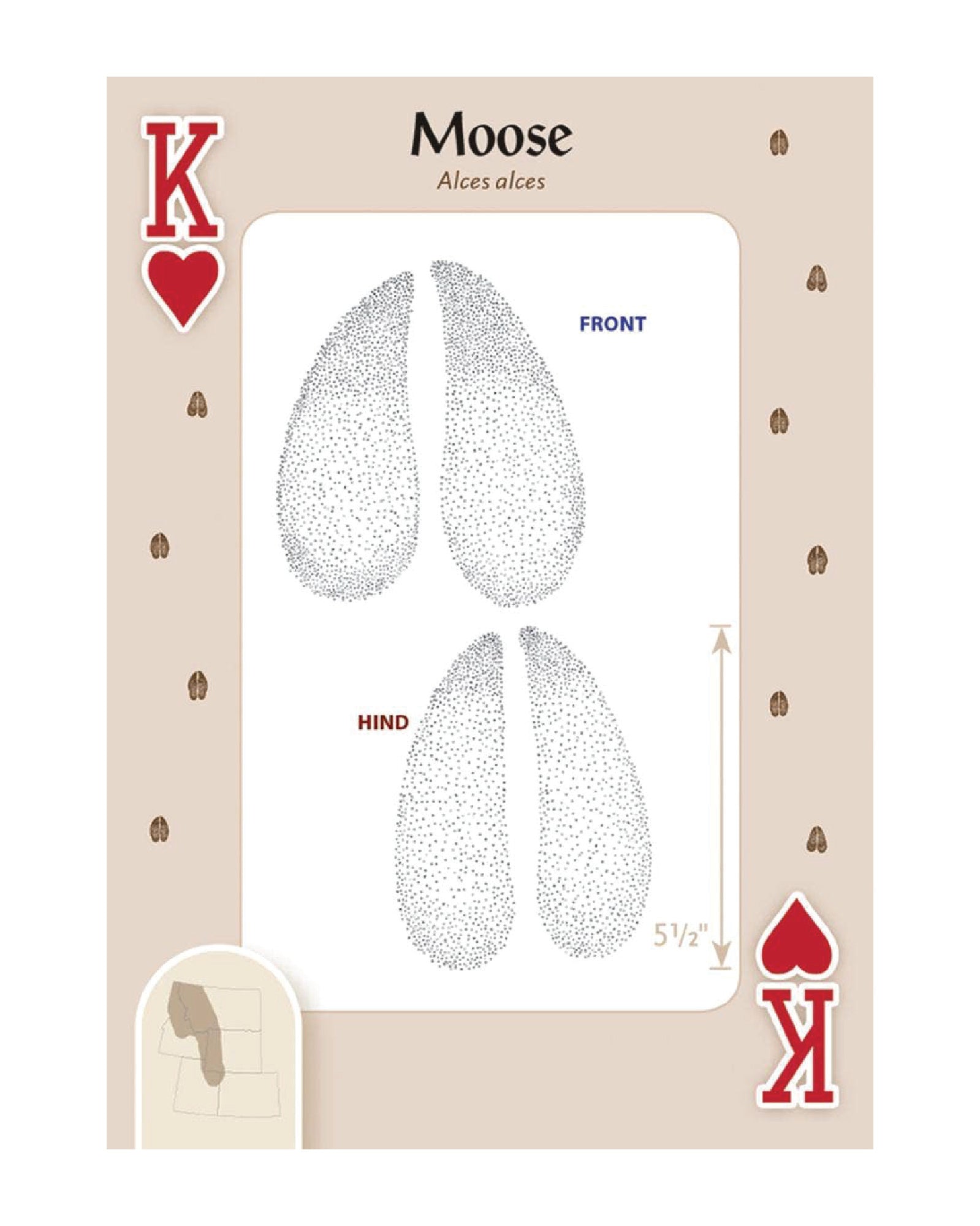 Animal Tracks of Rocky Mountains Playing Cards