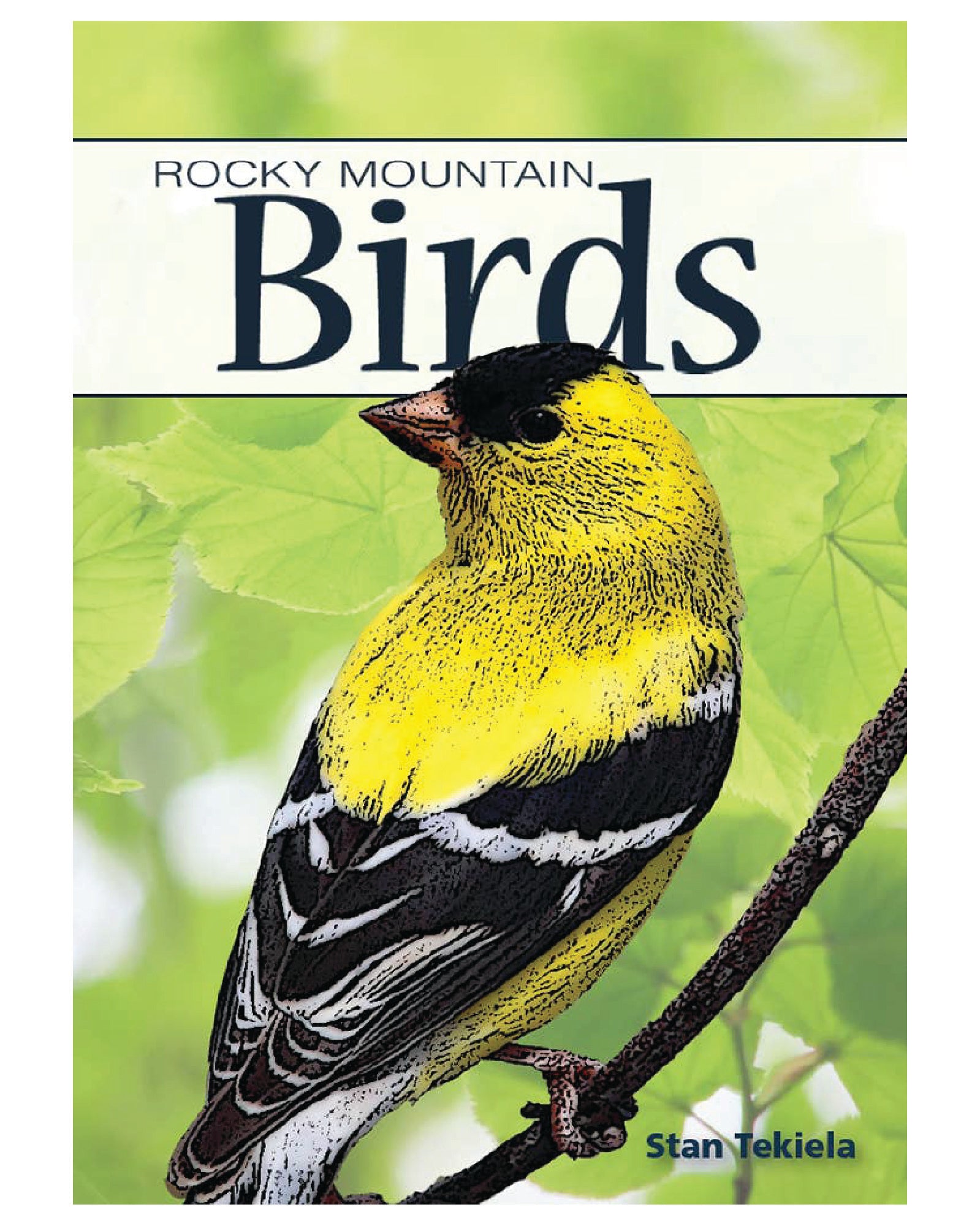 Birds of Rocky Mountains Playing Cards