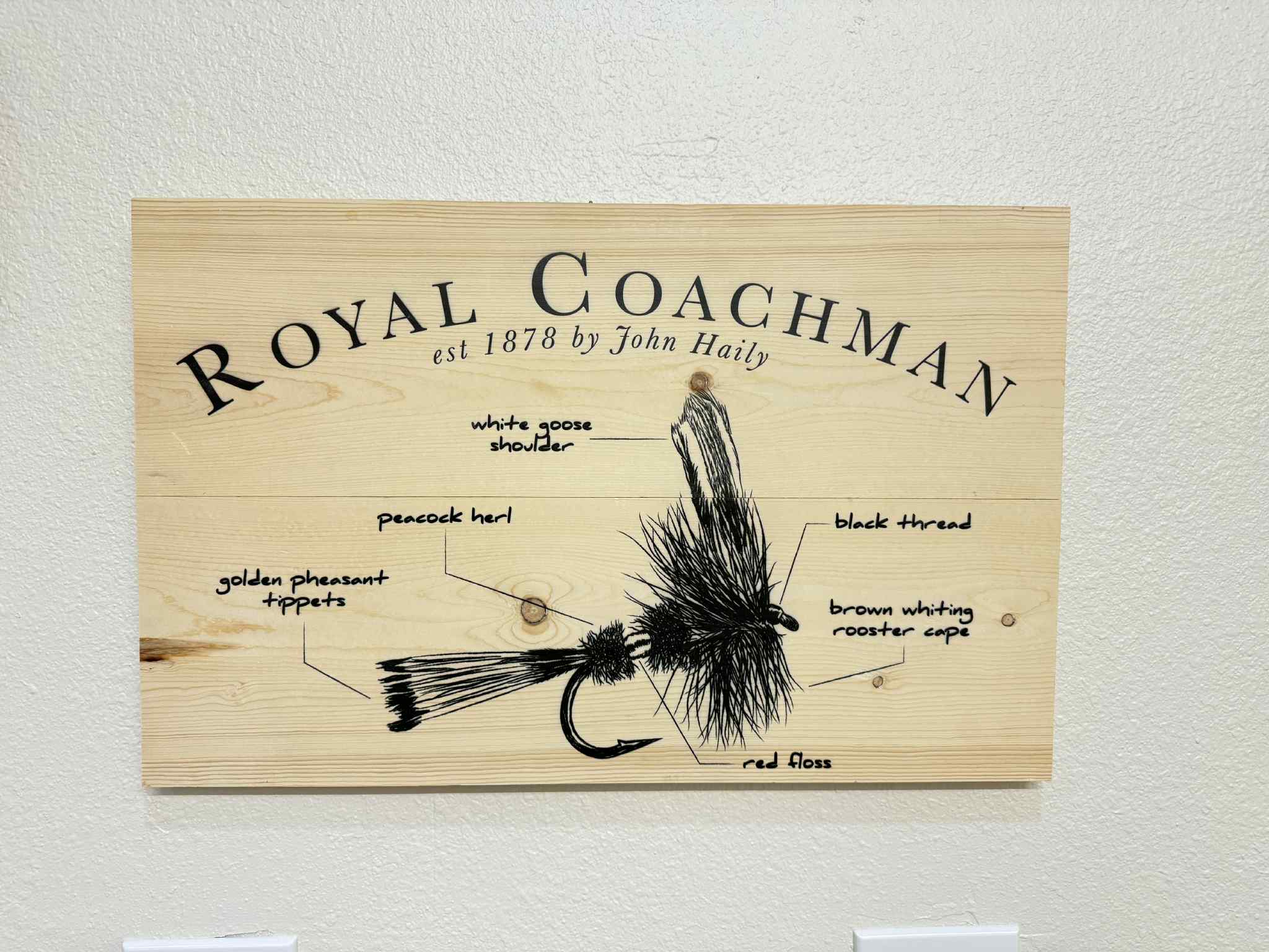 Royal Coachman Wall Art