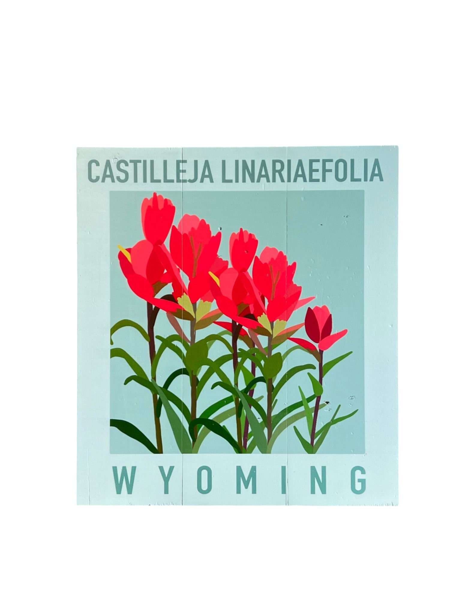 Wyoming Indian Paintbrush Wall Hanging