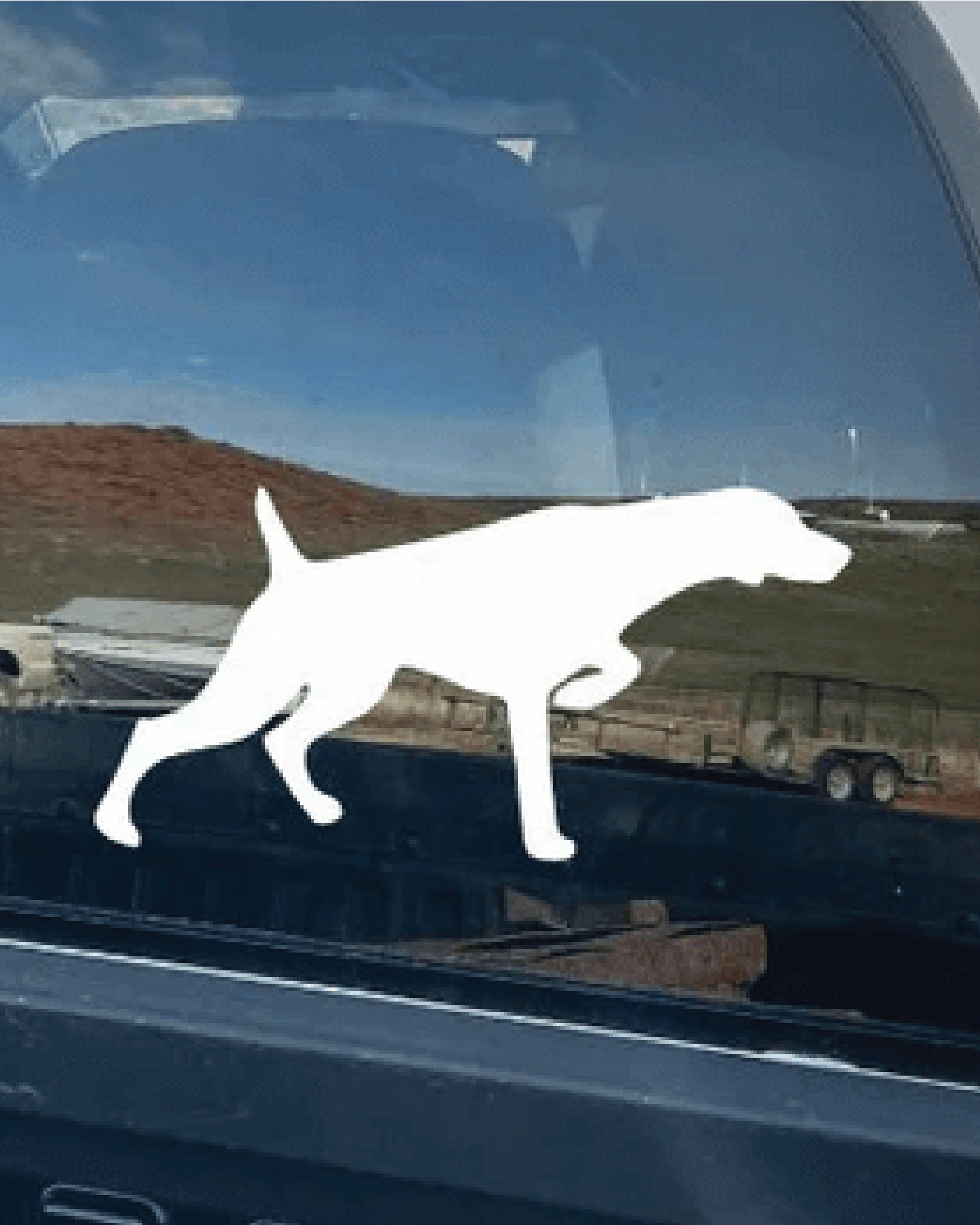 German Shorthaired Pointer (GSP) Window Decal