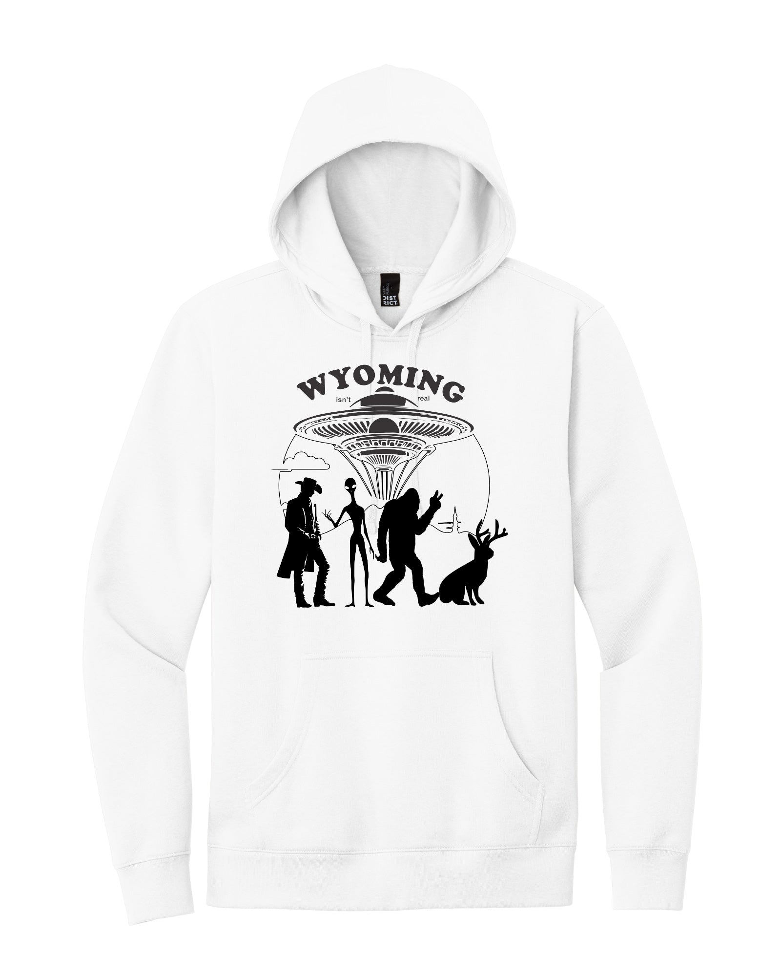 "Wyoming Isn't Real" Hoodie