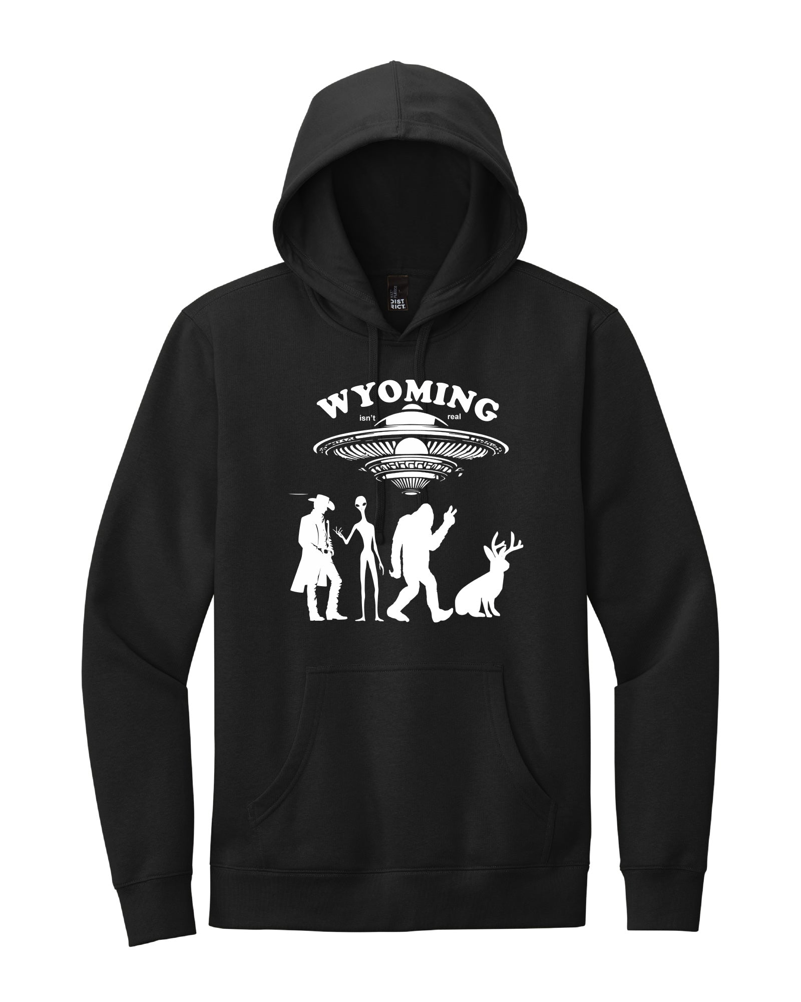 "Wyoming Isn't Real" Hoodie