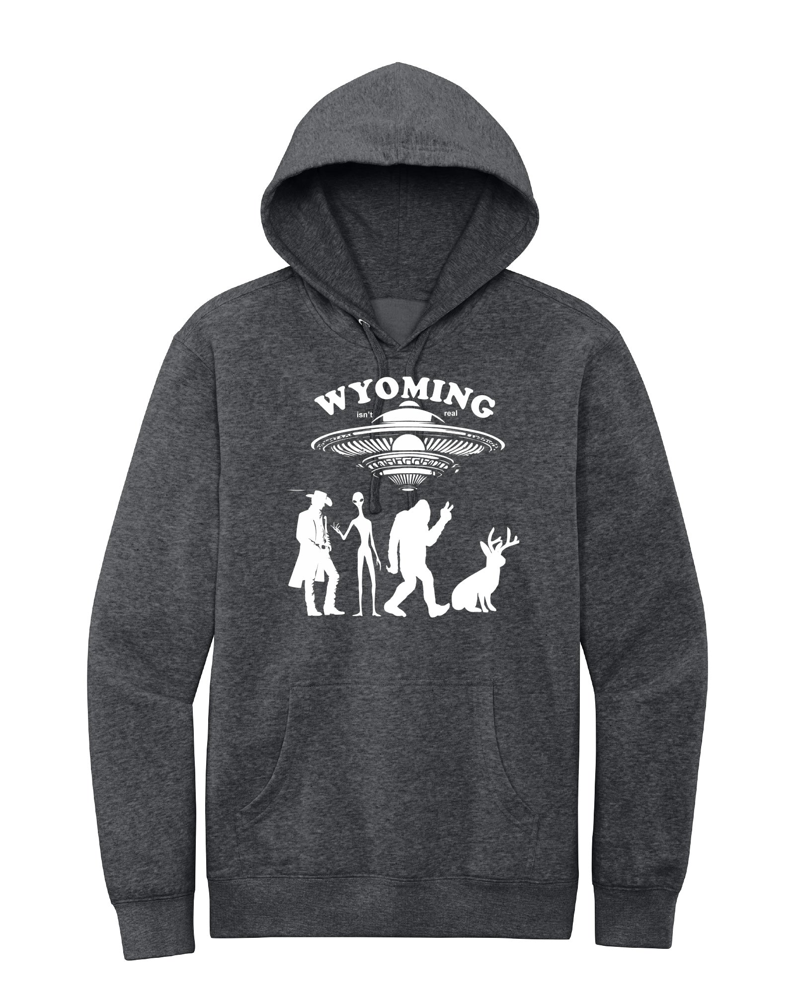 "Wyoming Isn't Real" Hoodie