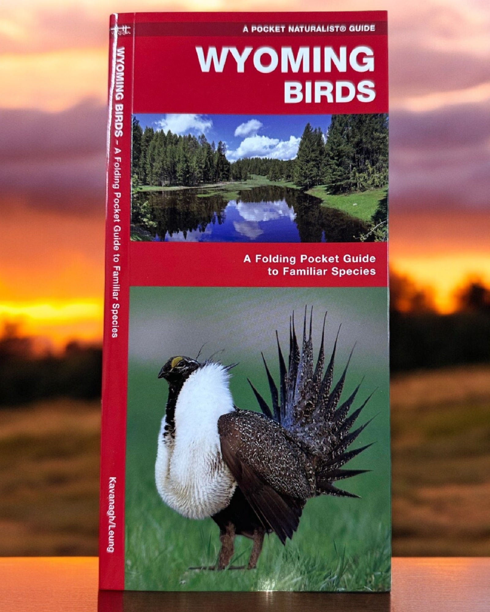 Wyoming Birds Pocket Book Guide