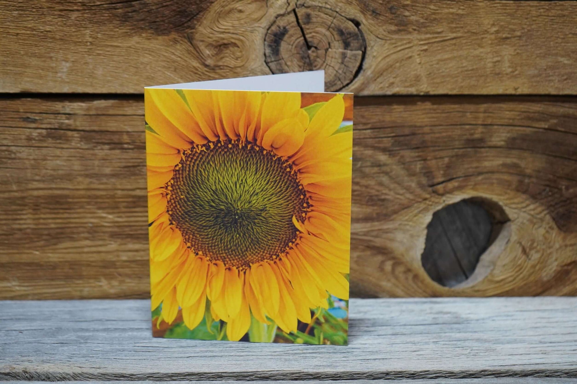 Sunflower greeting card featuring photo taken by Wyoming photographer Libby Littler.