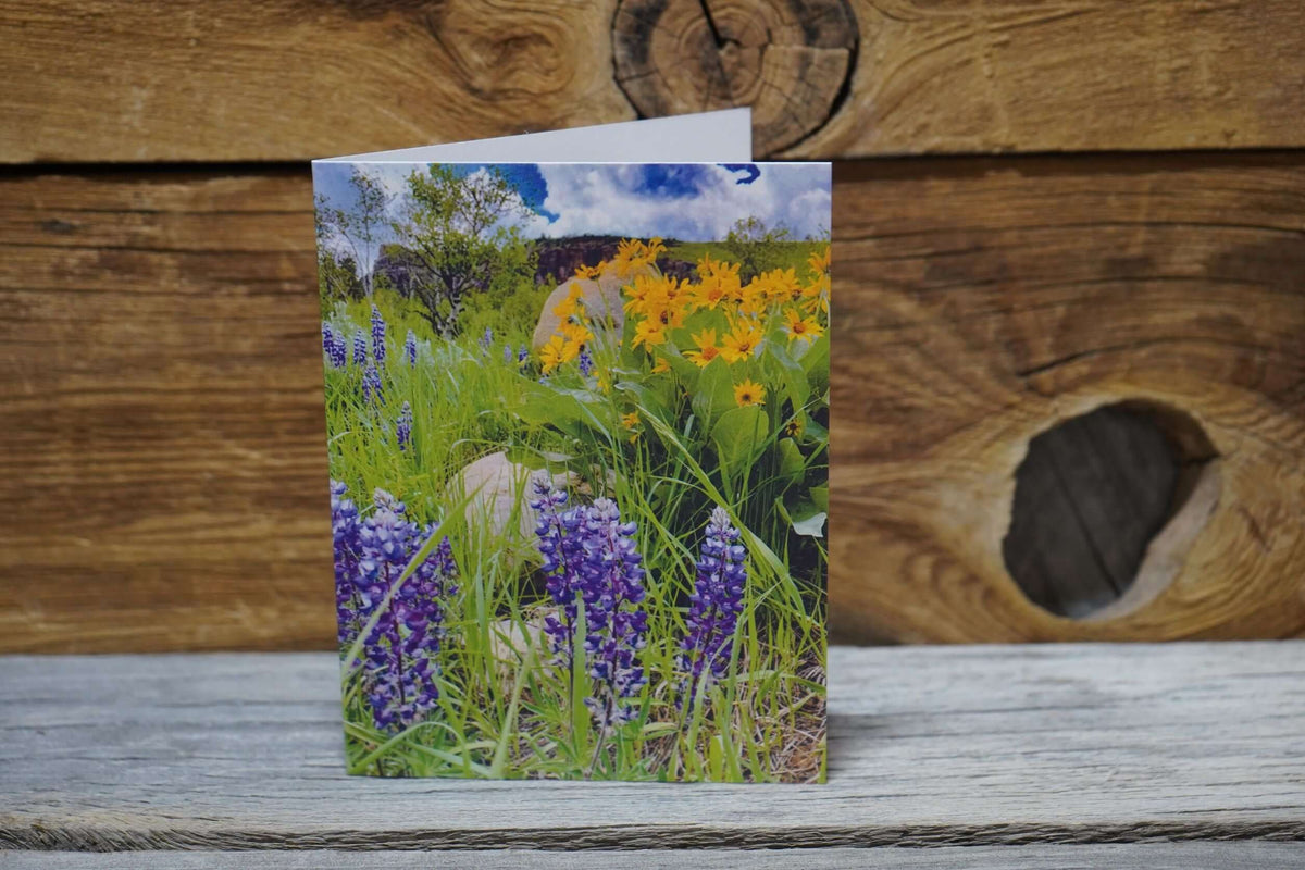 Wildflower greeting card featuring photo taken by Wyoming photographer Libby Littler.