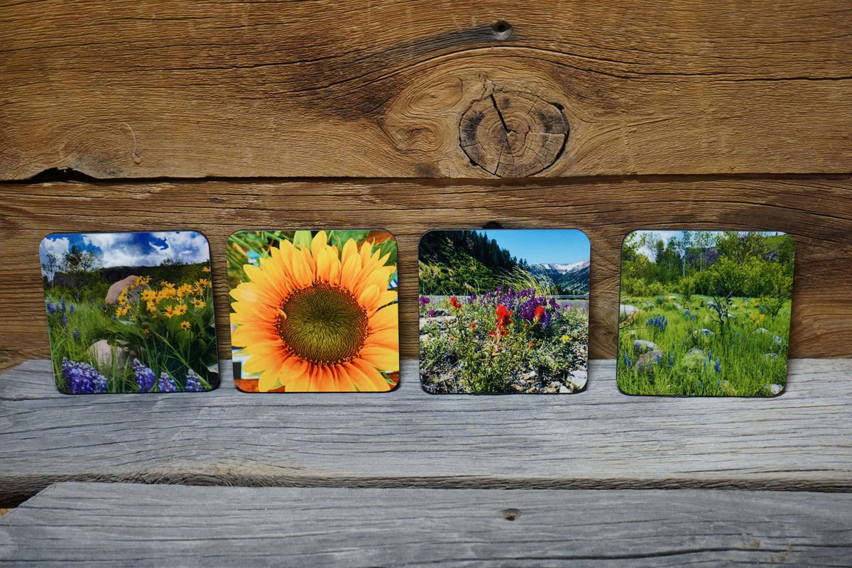 Set of 4 sublimation photo coasters with non-slip cork back. Wyoming photography of wildflowers by Libby Littler